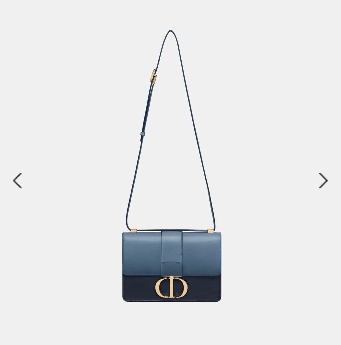 LuxuryPromise Dior 30 Montaigne Bag