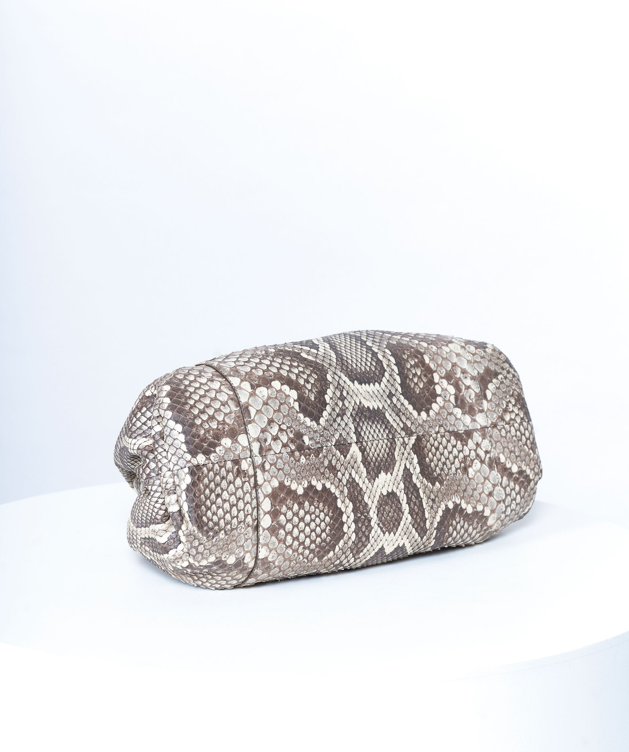 Bottega Bottega Veneta pouch python