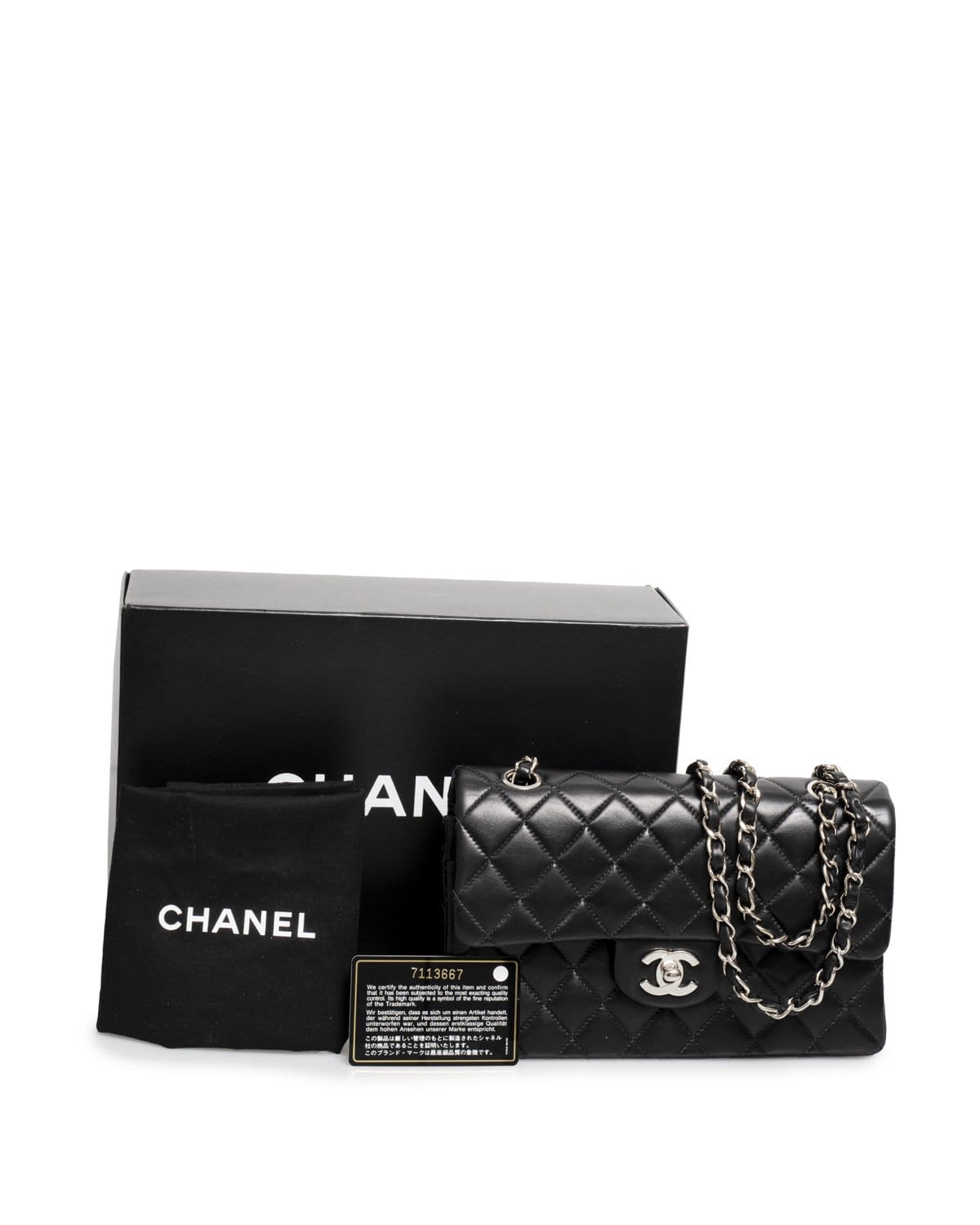 Chanel Chanel 9" Small Double Classic Flap with Silver Hardware - ADL1589