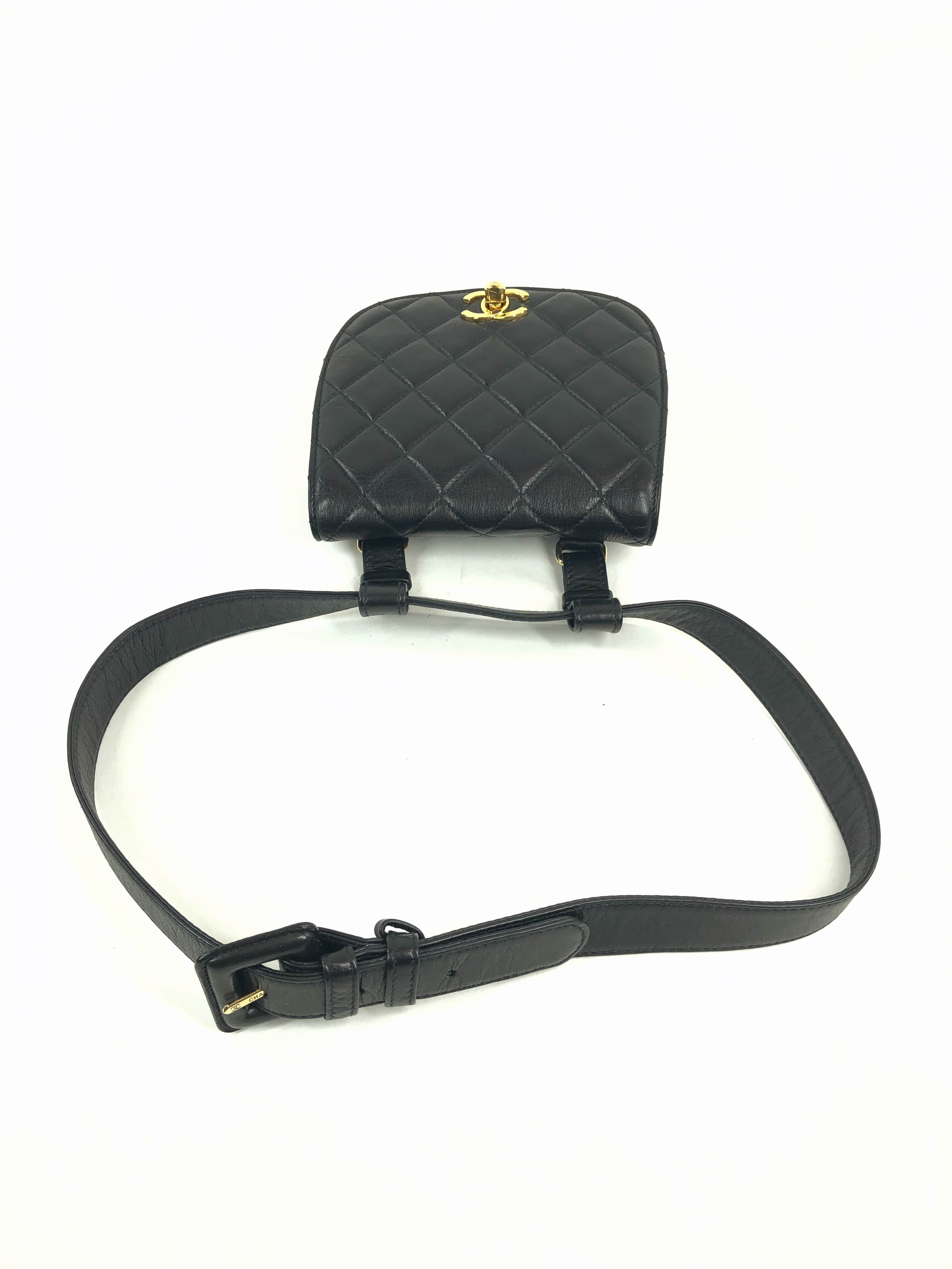 Chanel Chanel Quilted Lambskin Waist Bag PXL1568