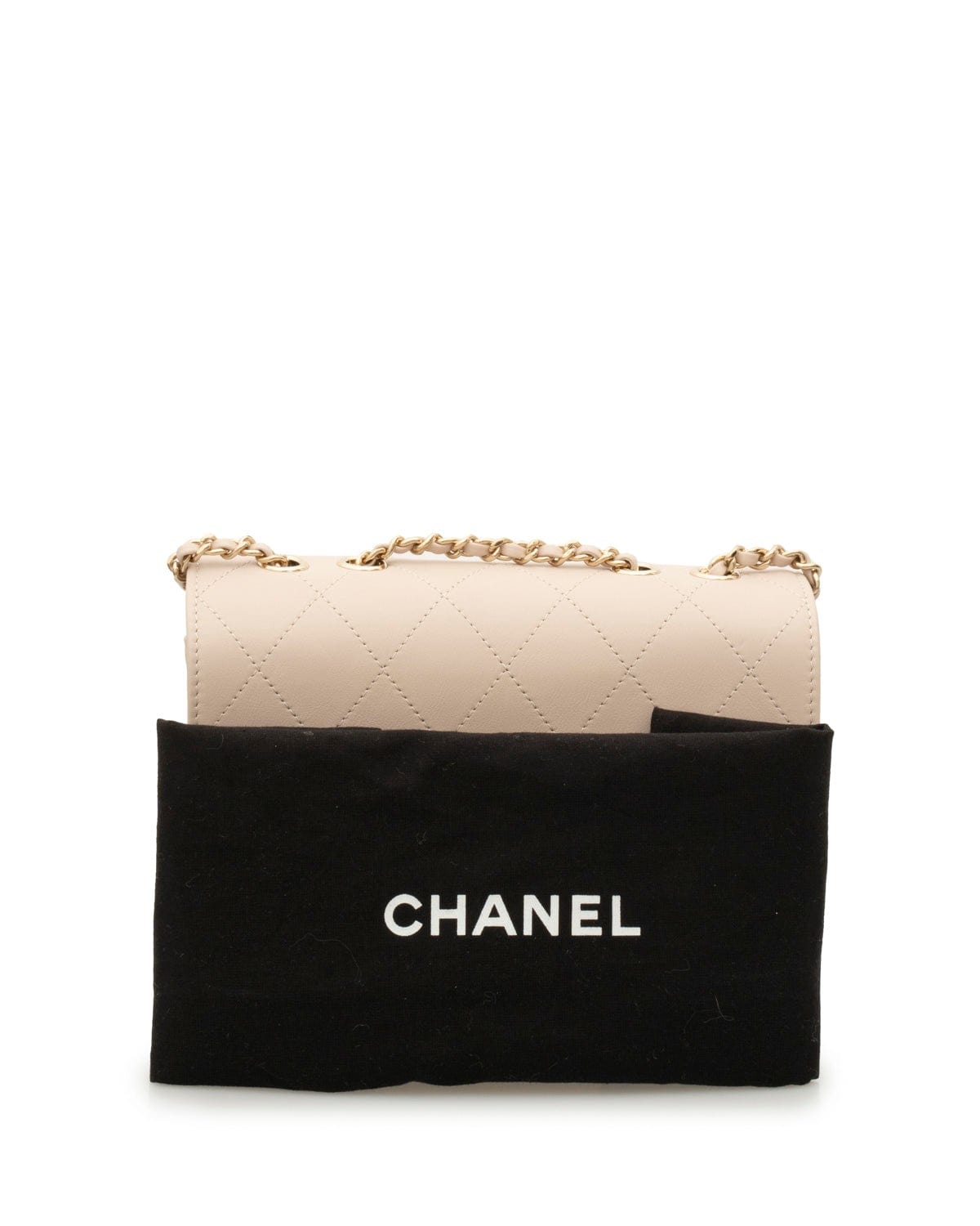 Chanel Chanel Rose Clair Seasonal Flap Bag - ADL1684