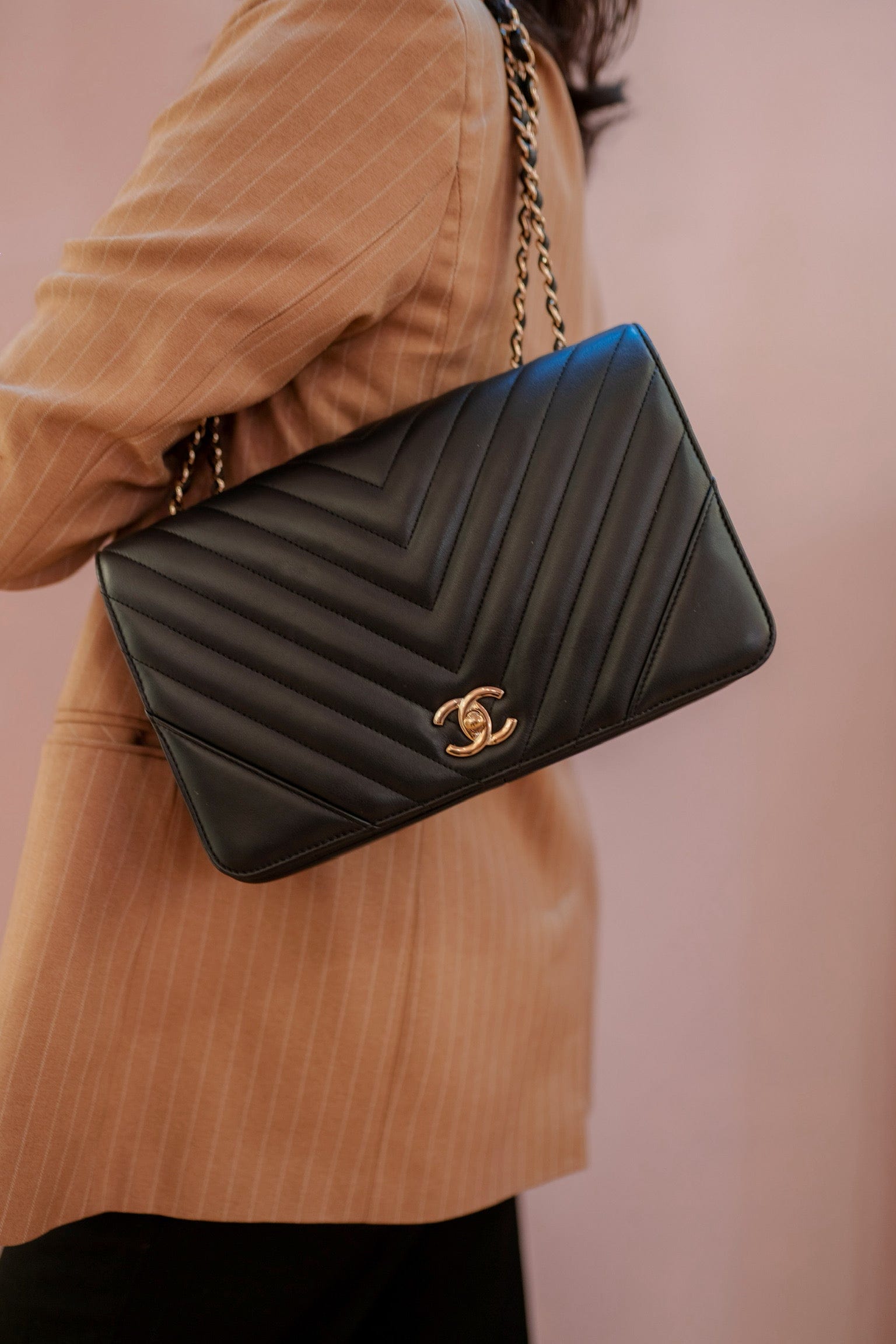 Chanel Christian Dior Chevron Flap Bag - ADL1799