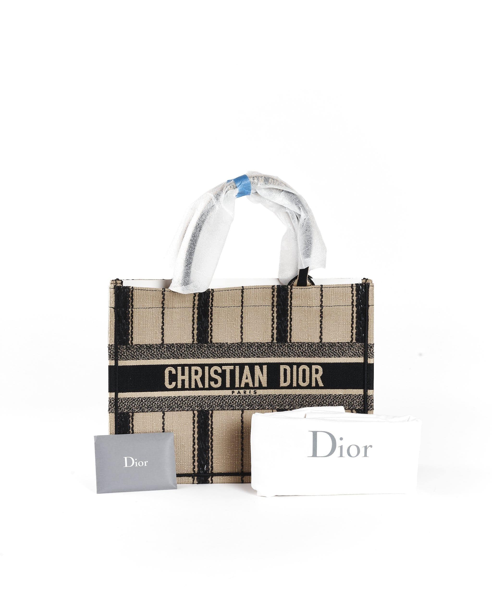 Christian Dior Dior Book tote beige stripe