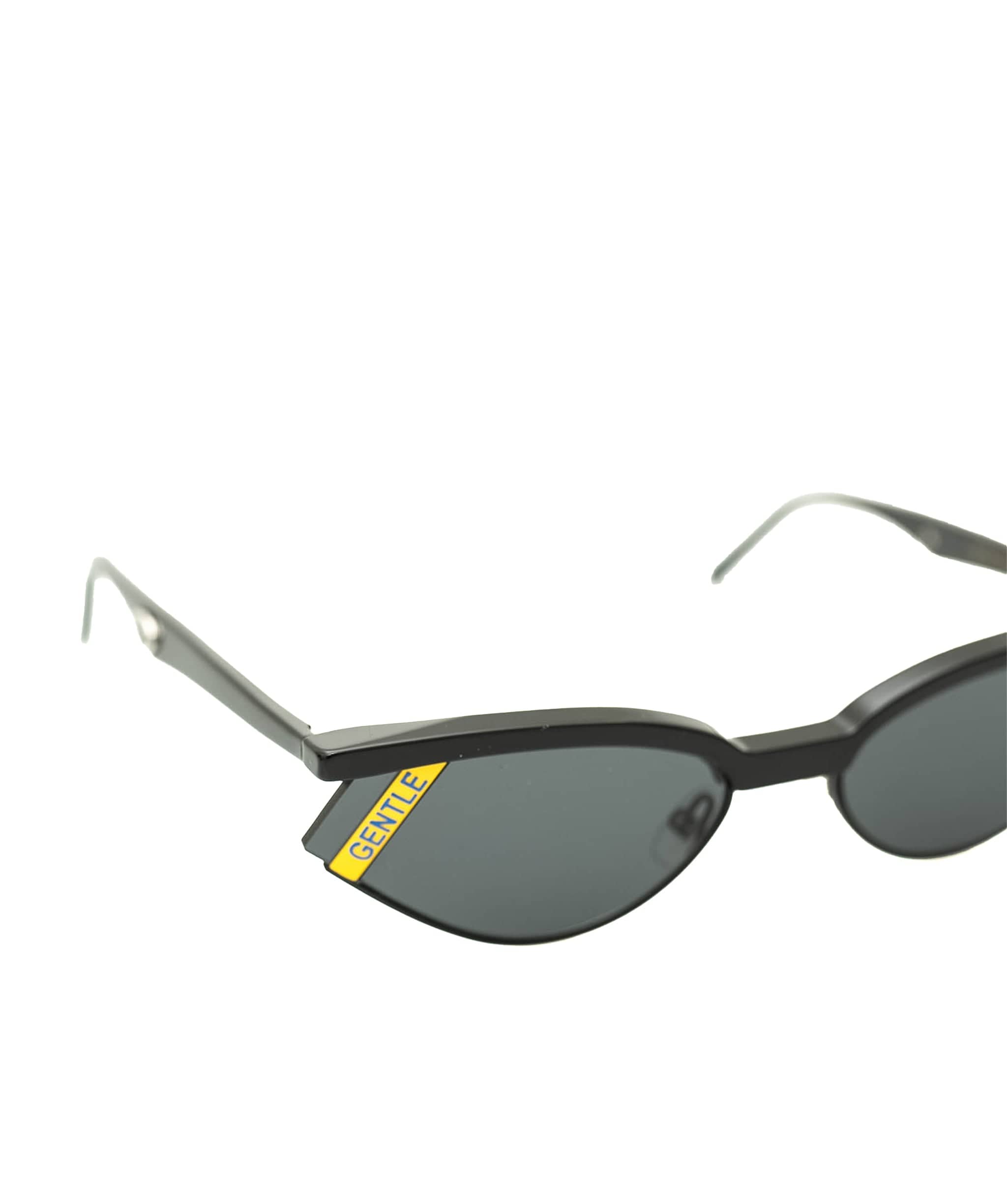 Fendi Fendi X Gentle Monster Cat Eye Black Sunglasses - AGL1544