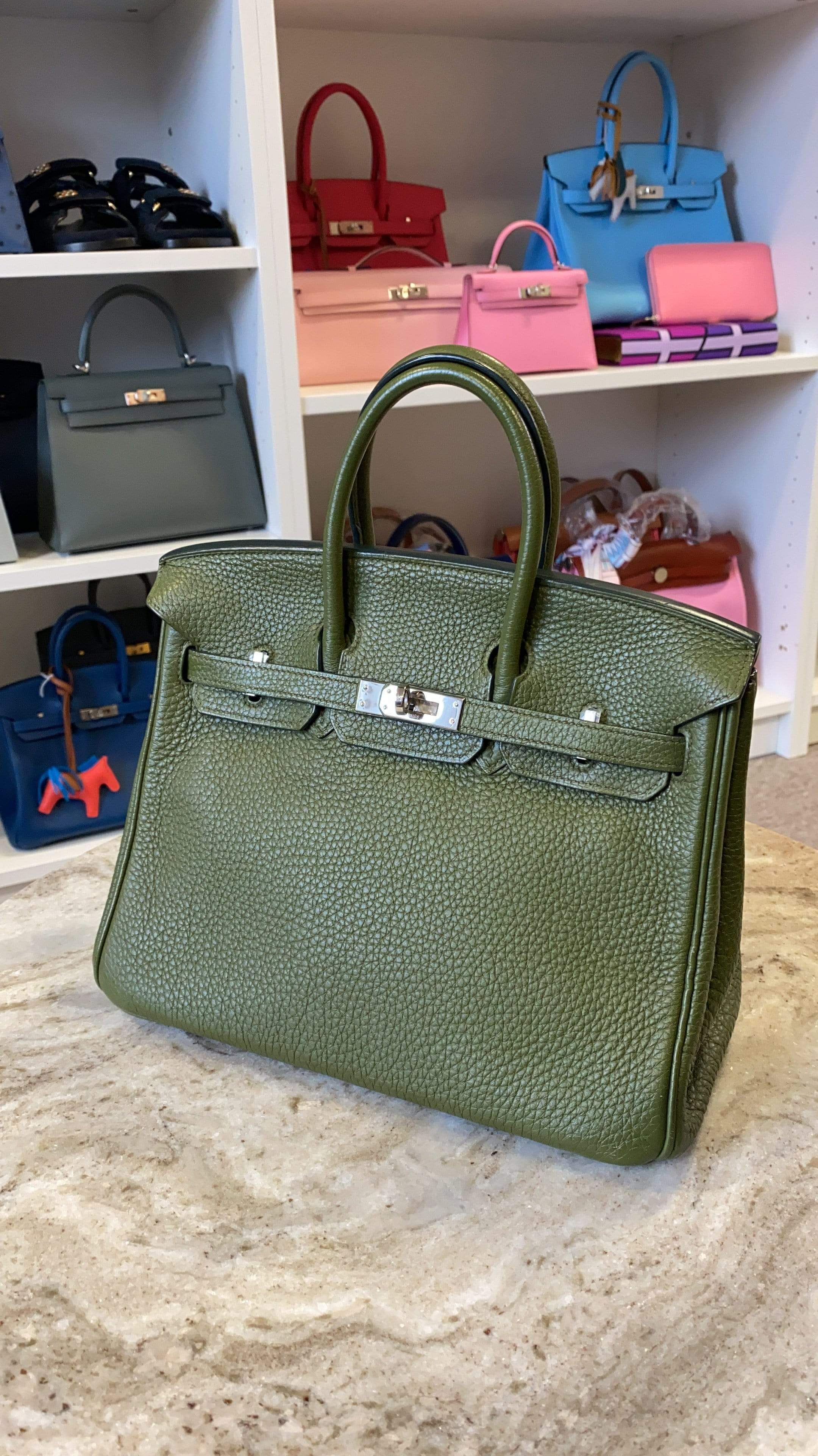 Hermès Hermès Birkin 25 Togo Canope PHW AGC1011