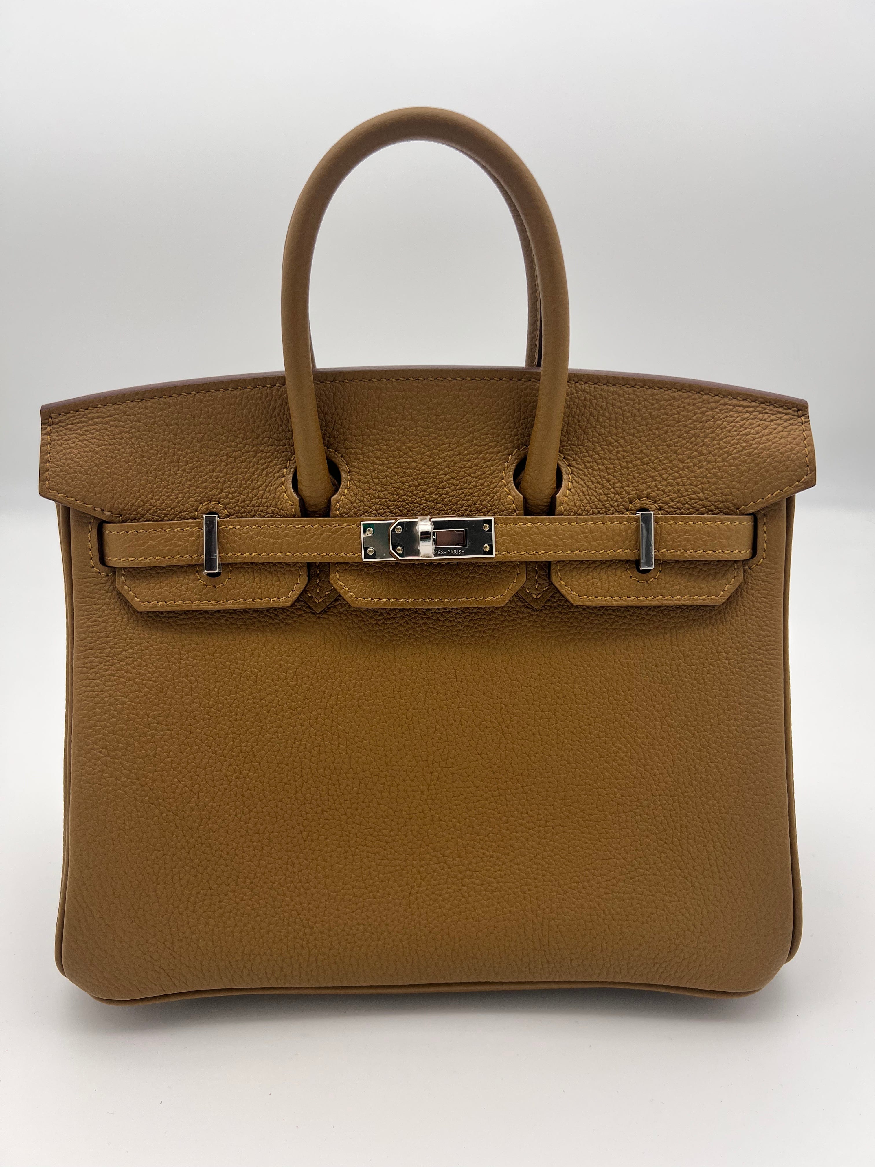 Hermès Hermes Birkin 25 Verso Bronze D'ore / Blue Brume Togo PHW AGL2380