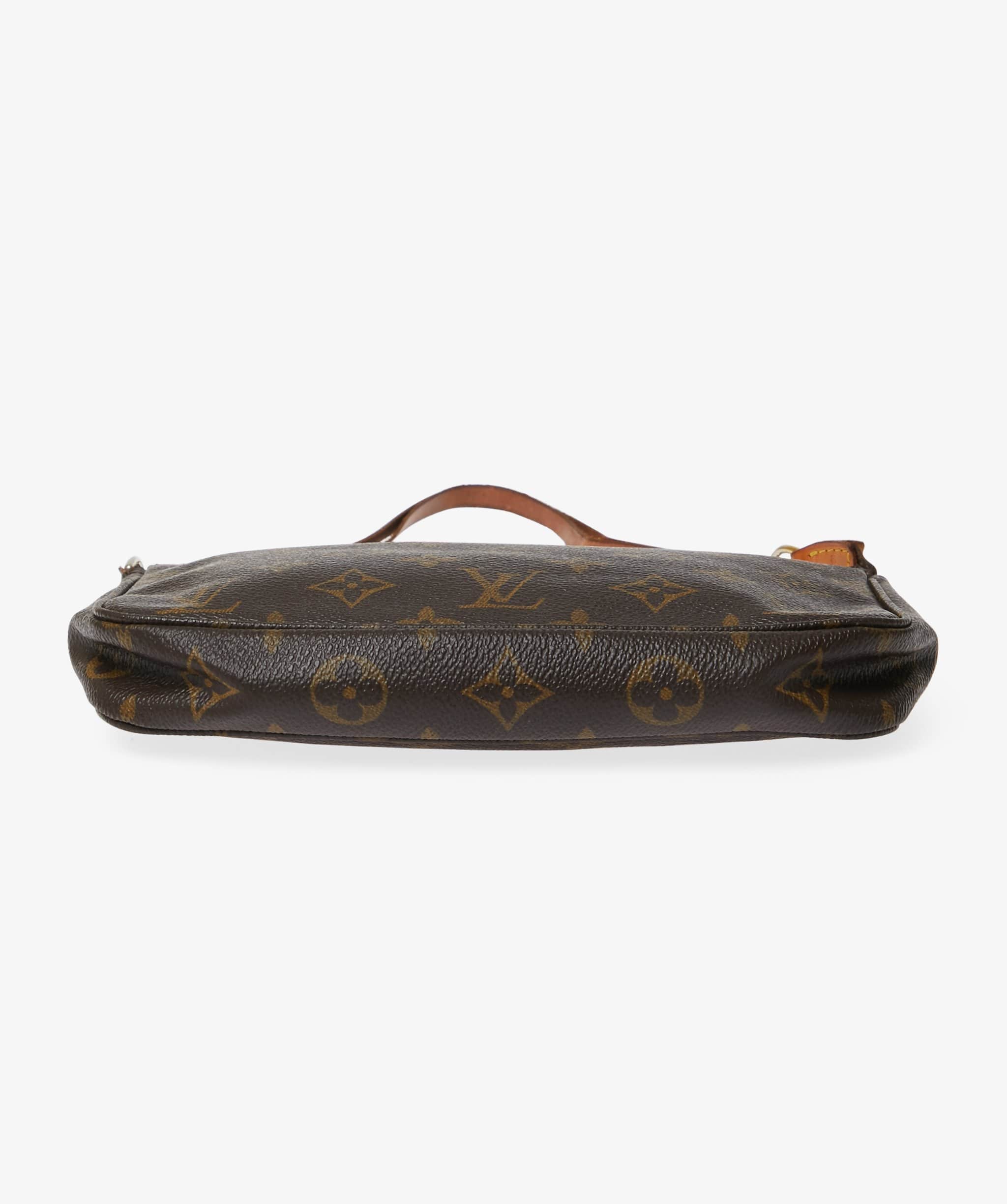 Louis Vuitton Louis Vuitton Monogram Pochette