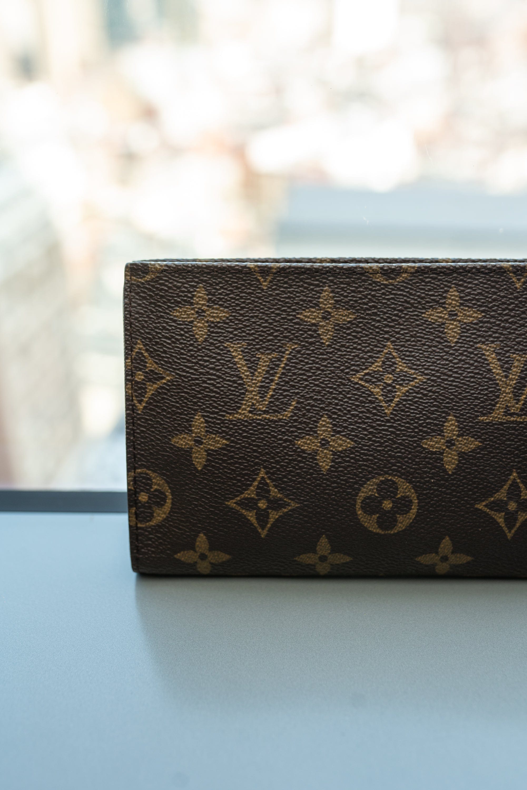 Louis Vuitton Louis Vuitton Monogram Pouch For ASL2926