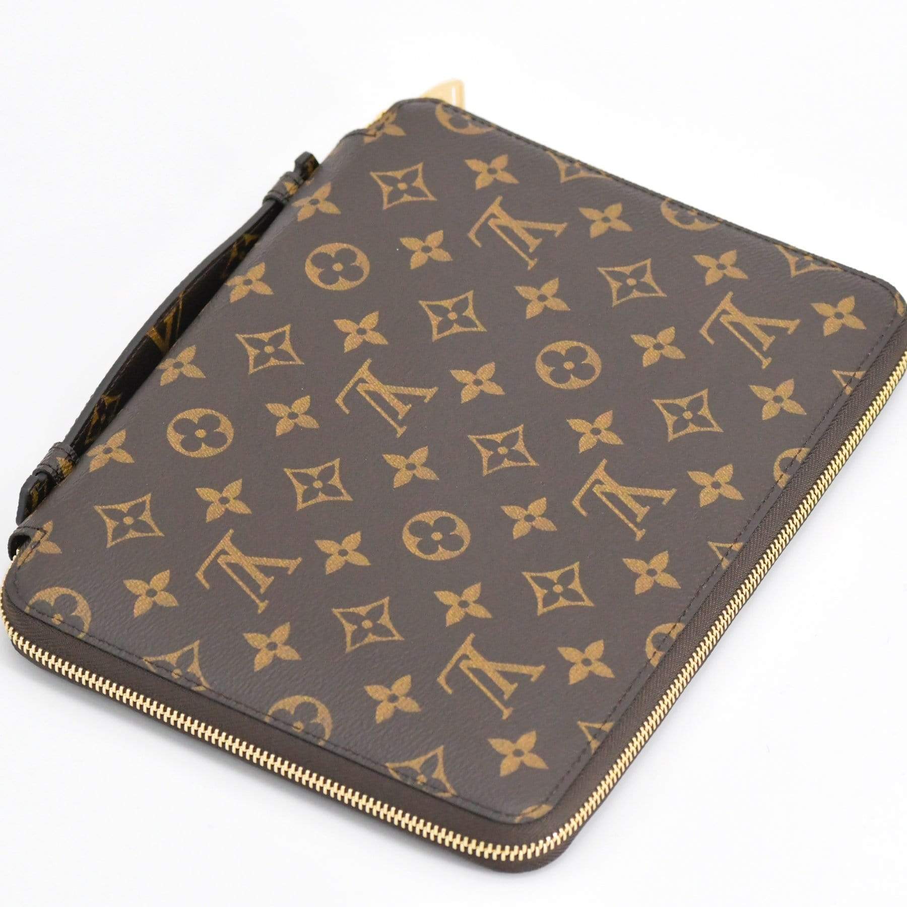 Louis Vuitton Louis Vuitton Pochette Organiser