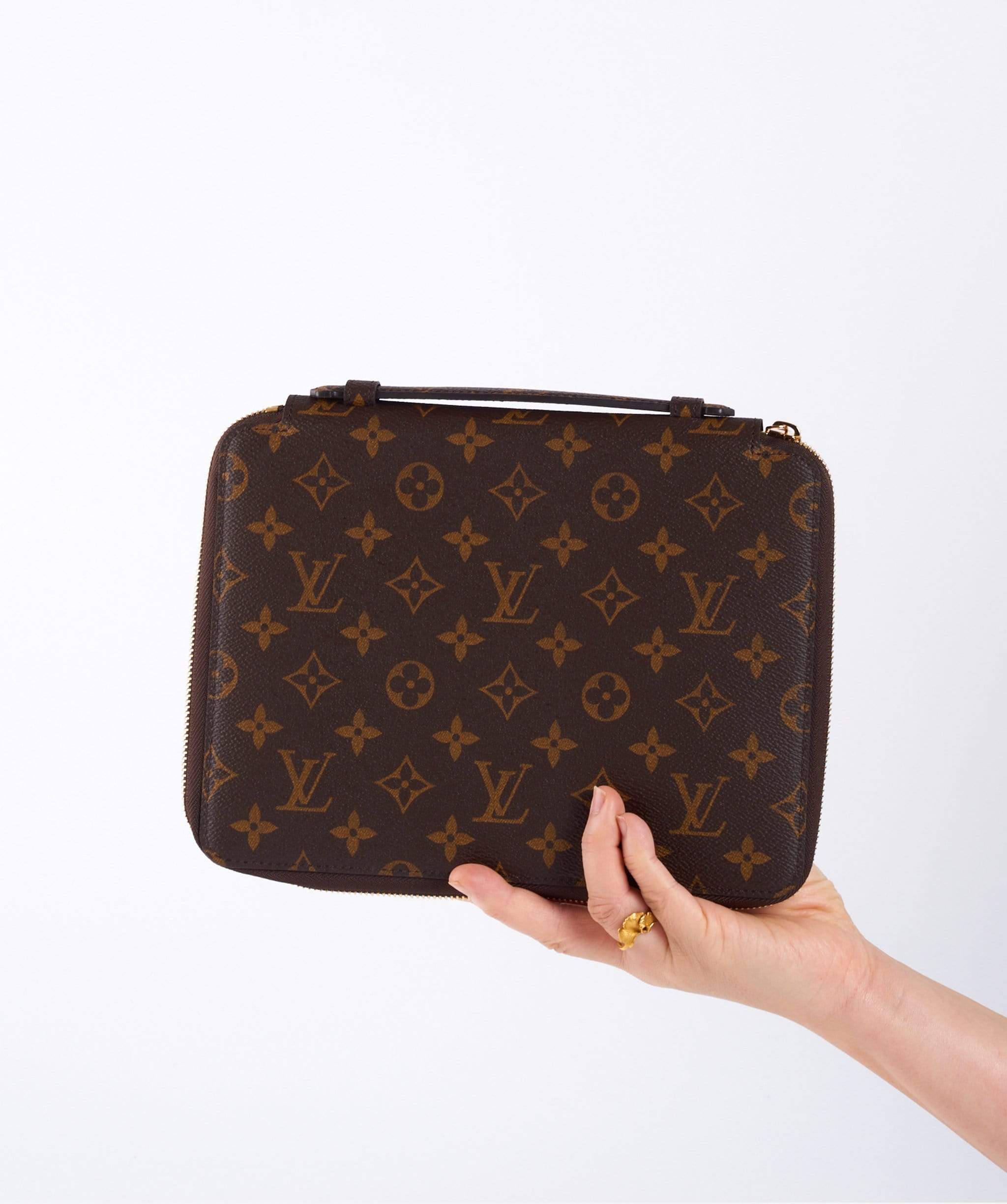 Louis Vuitton Louis Vuitton Pochette Organiser