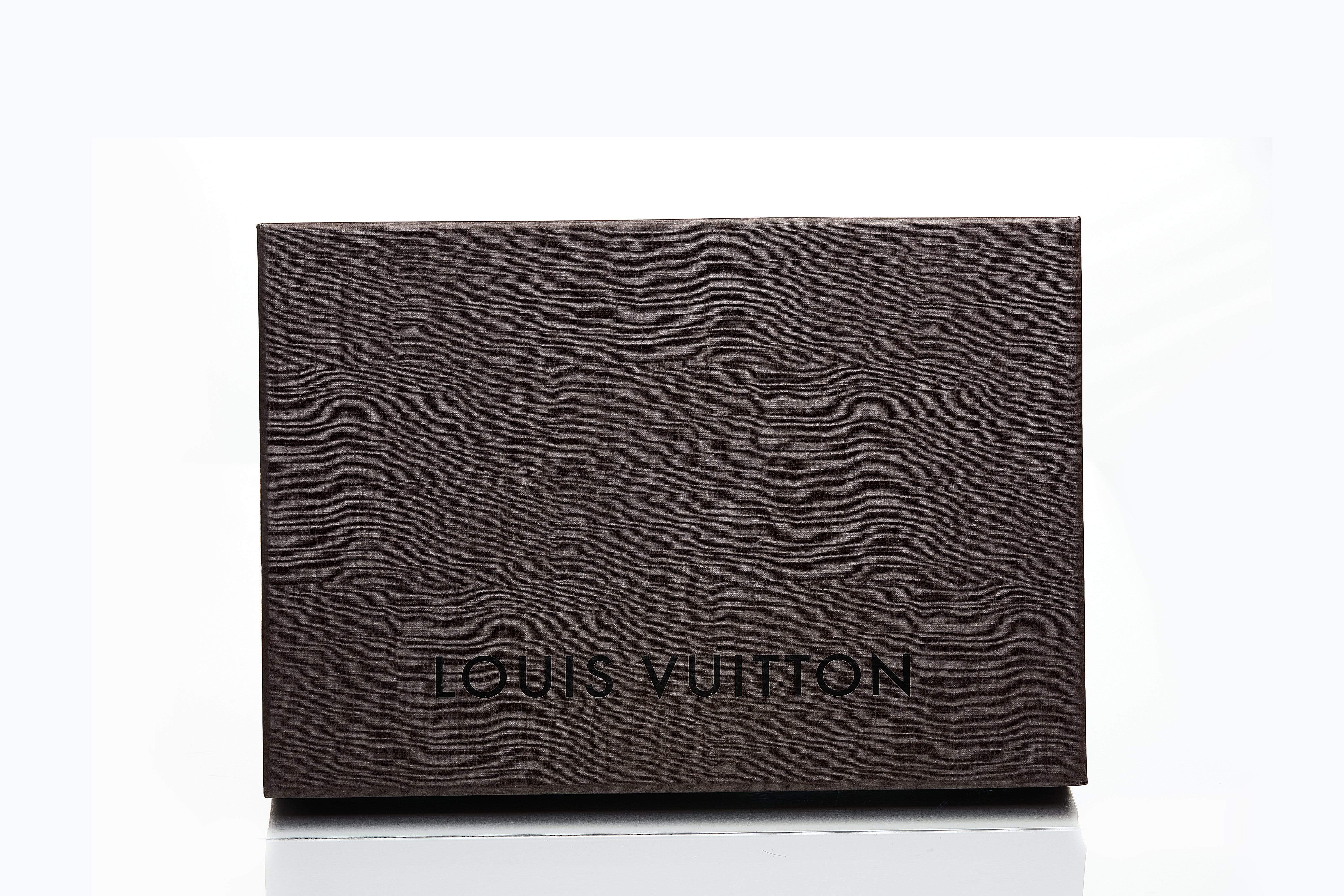 Louis Vuitton Louis Vuitton Shawl