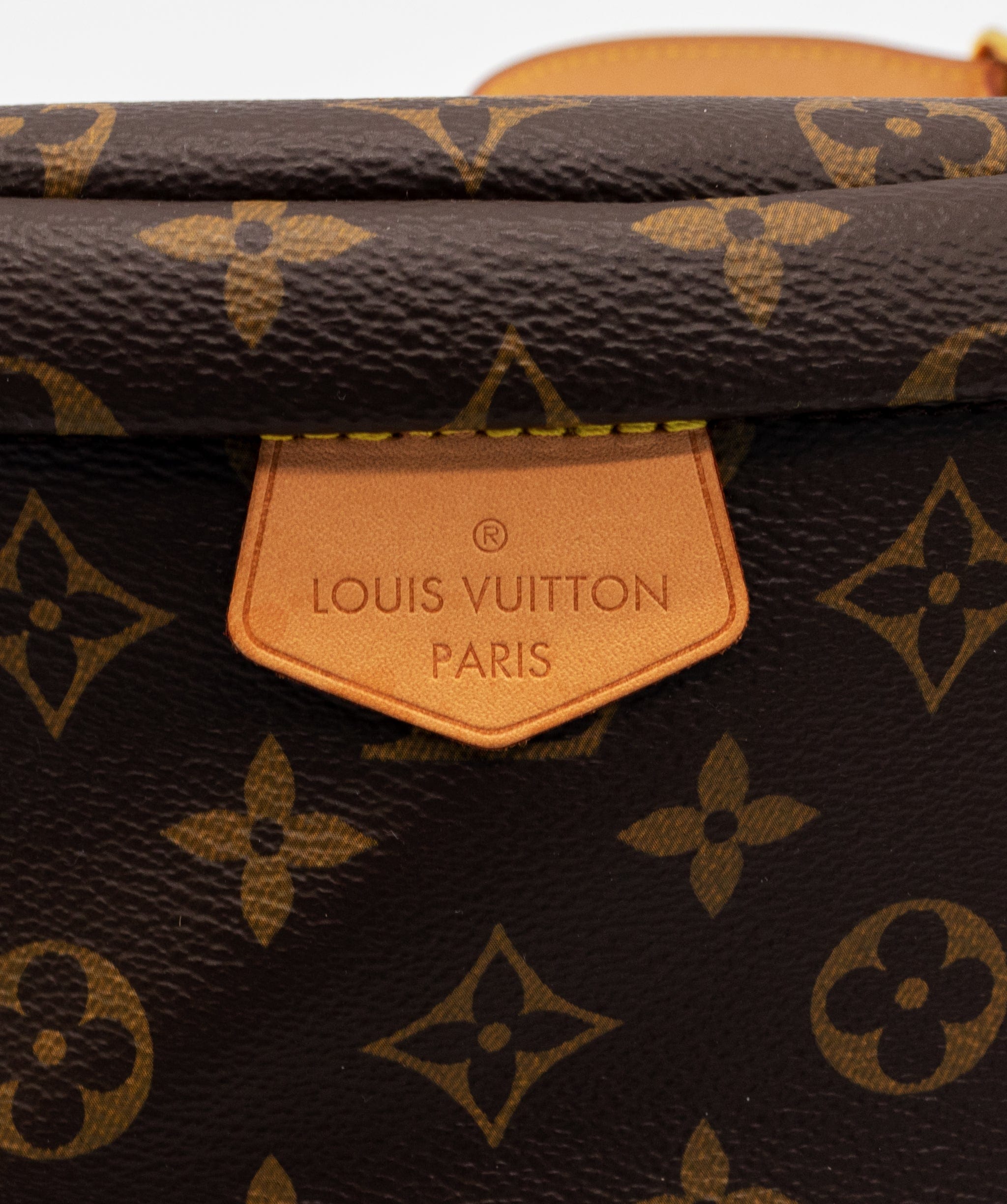 Louis Vuitton Louis Vuitton Bumbag RJL1421