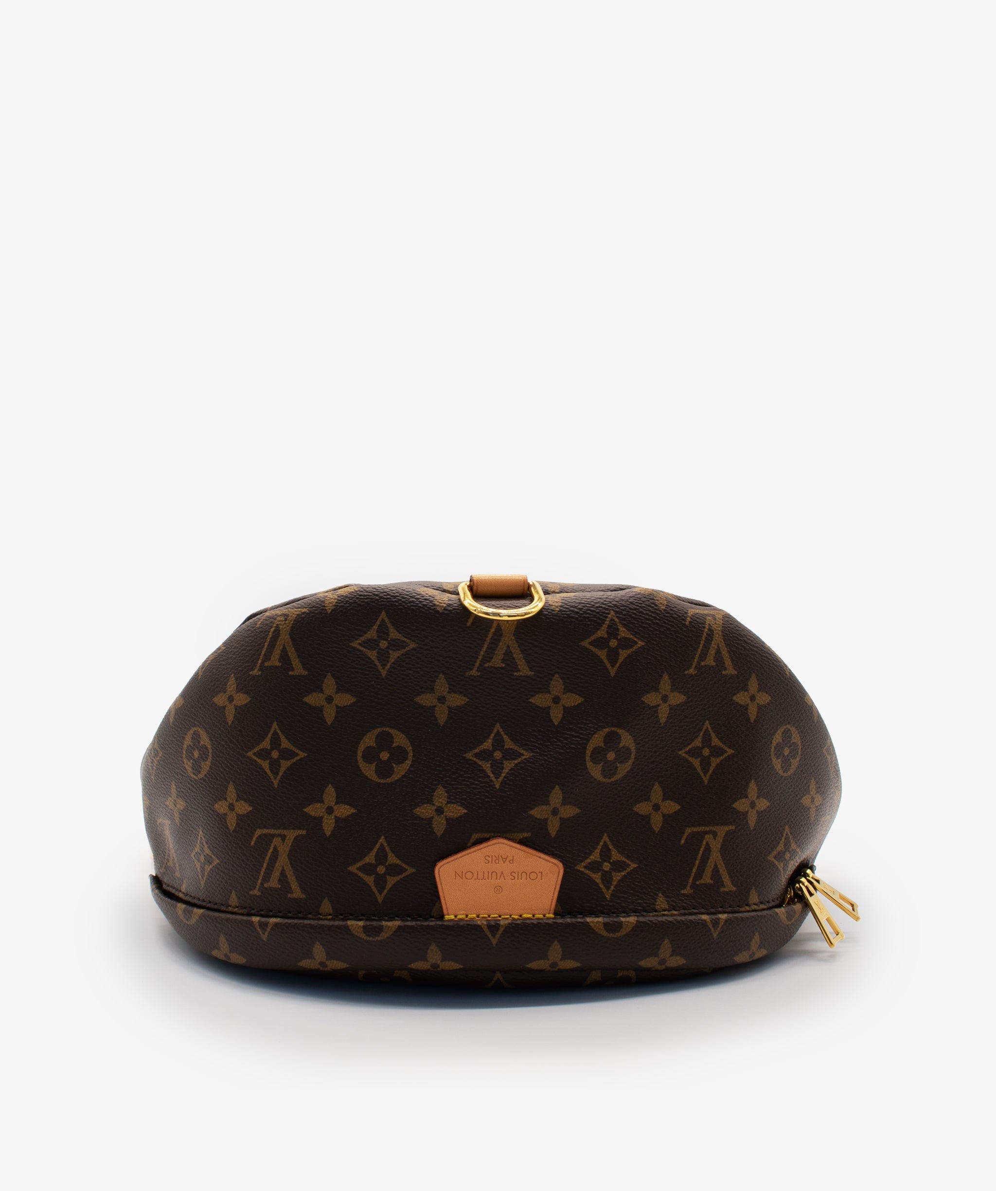 Louis Vuitton Louis Vuitton Bumbag RJL1421