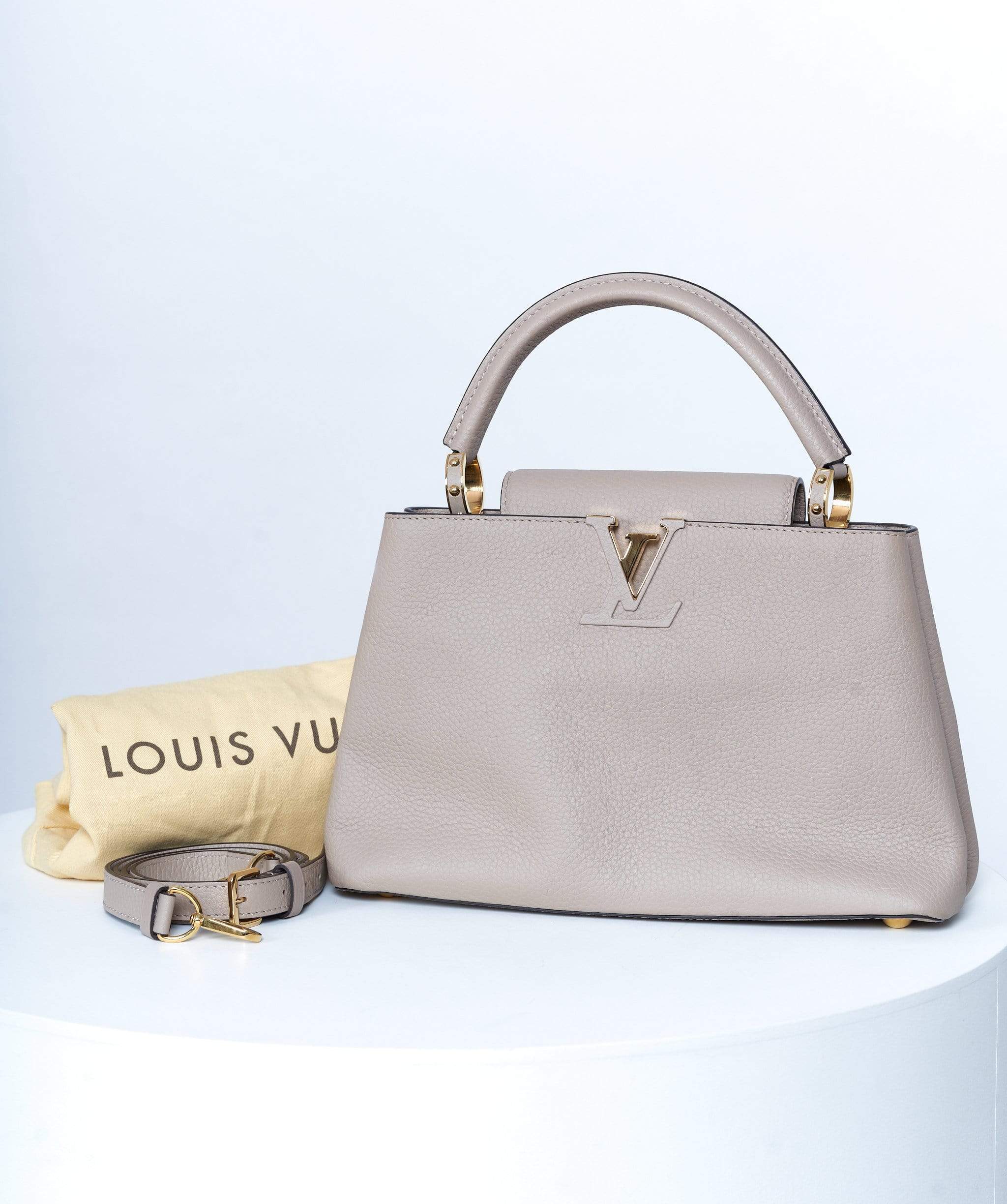 Louis Vuitton Louis Vuitton Capucine PM