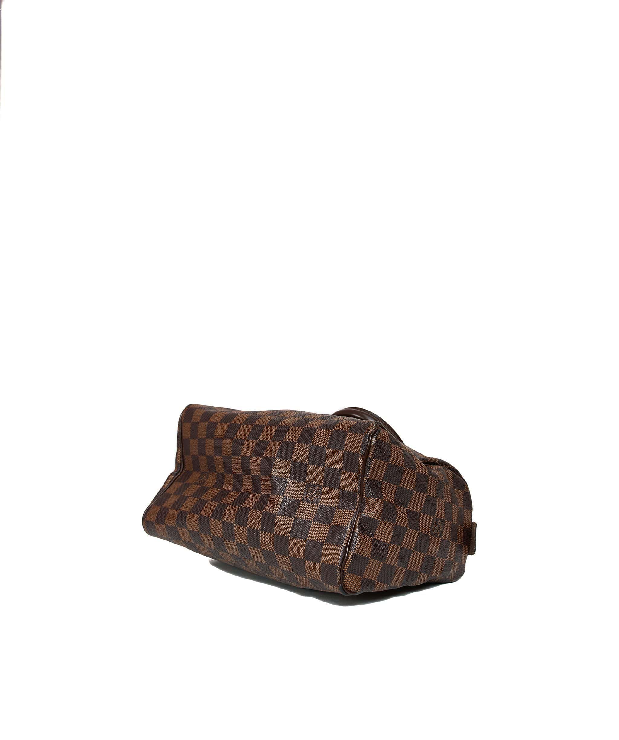 Louis Vuitton Louis Vuitton Damier Speedy 25 SP0076 AGL1024