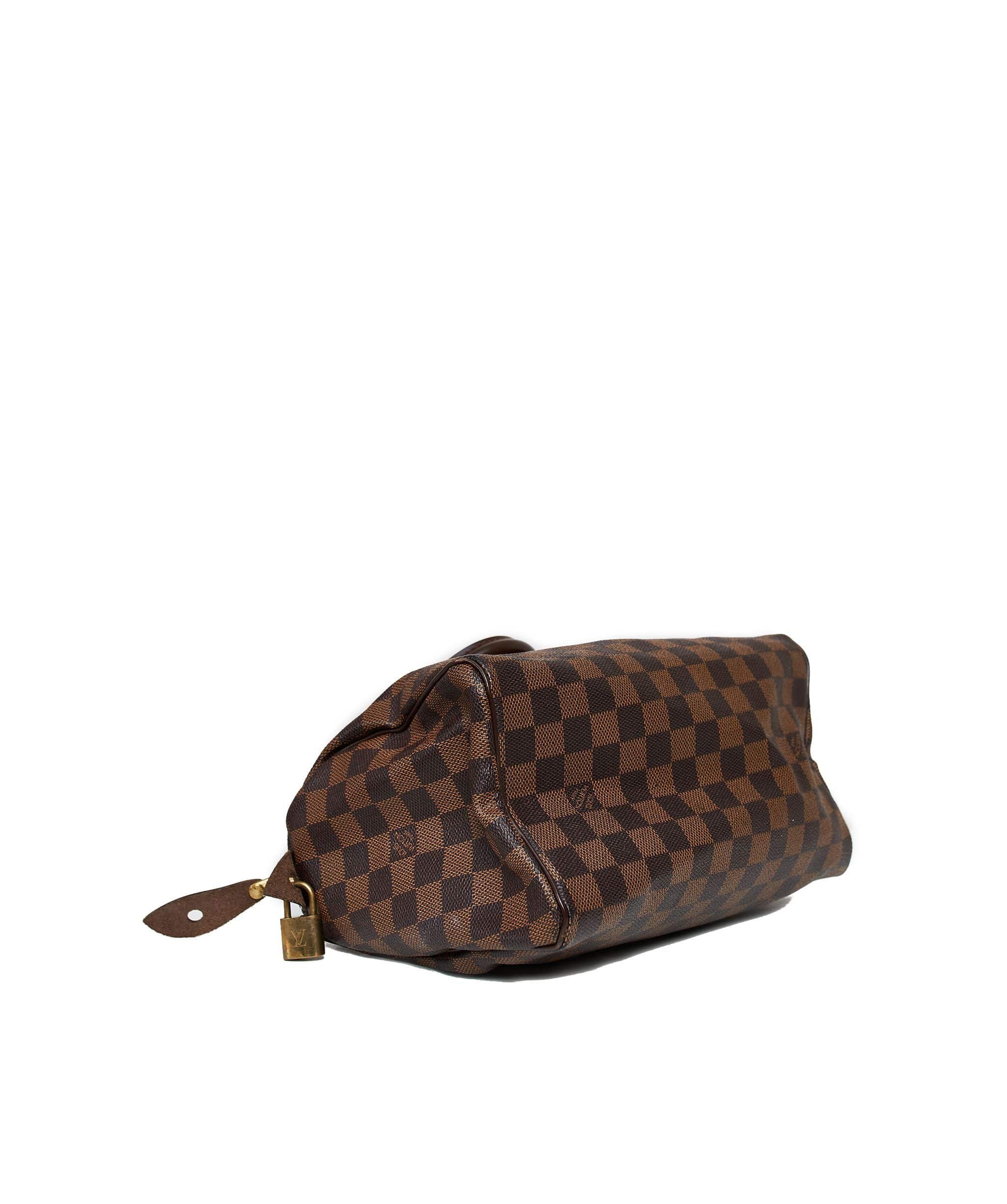 Louis Vuitton Louis Vuitton Damier Speedy 25 SP0076 AGL1024