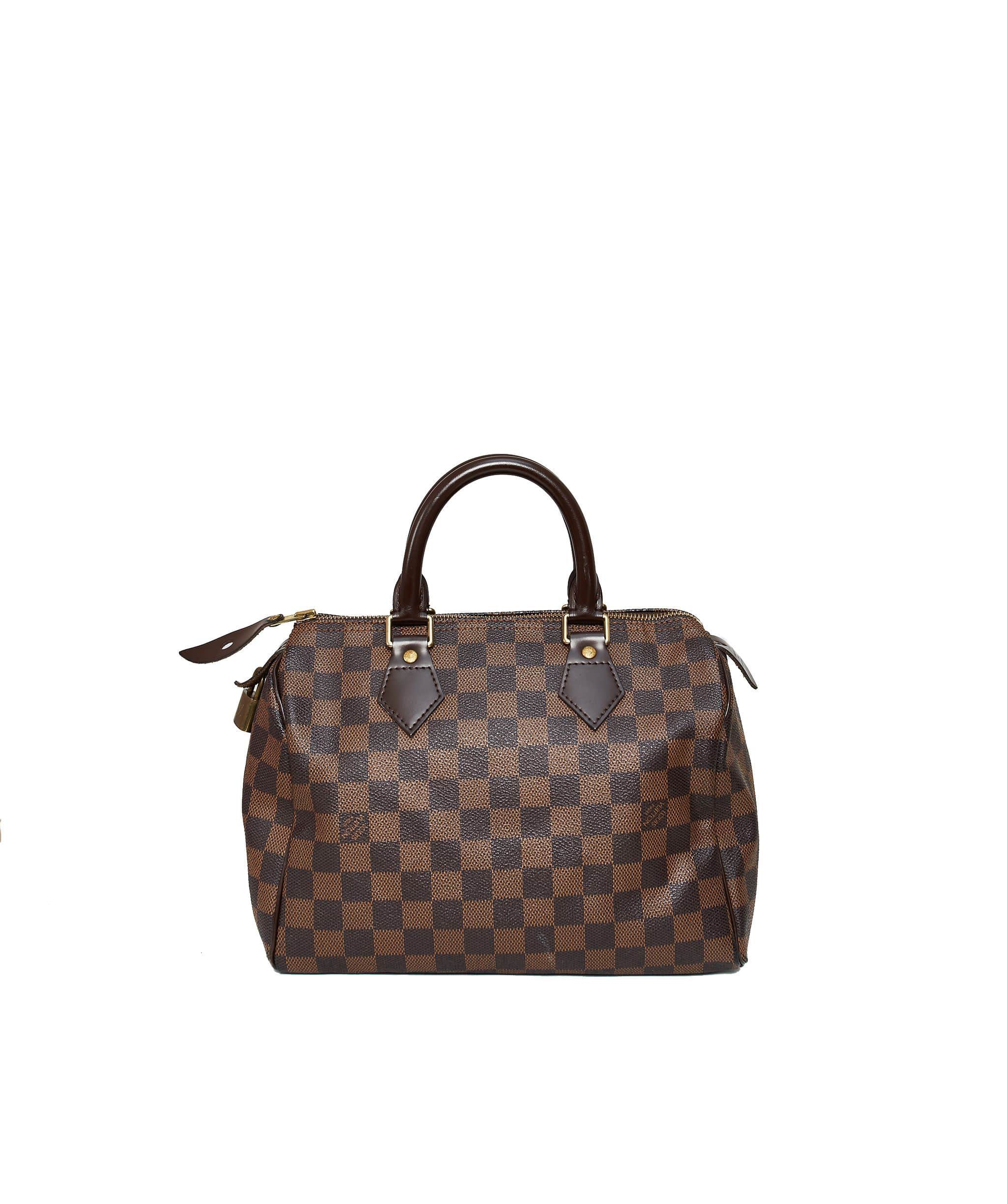 Louis Vuitton Louis Vuitton Damier Speedy 25 SP0076 AGL1024