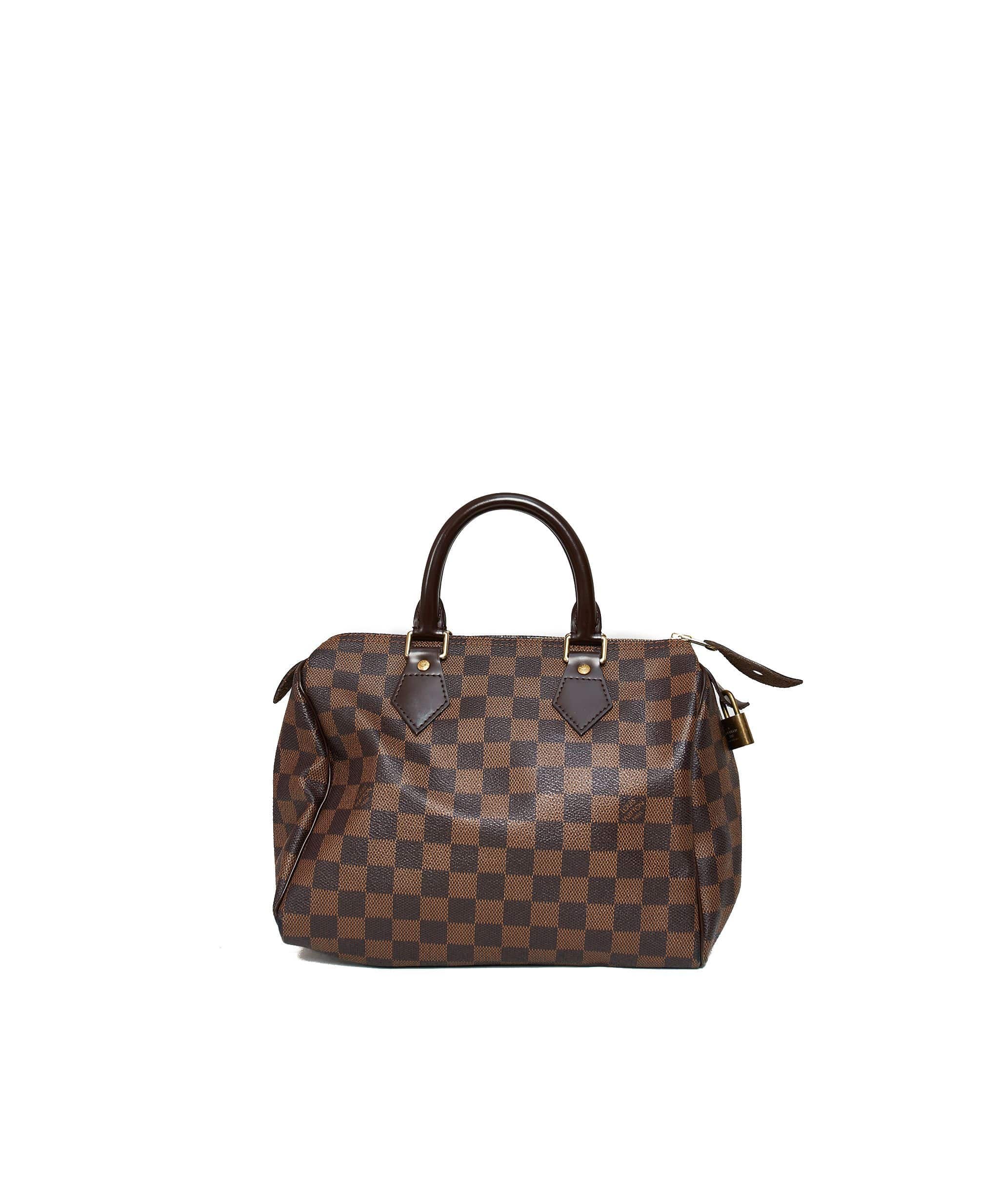 Louis Vuitton Louis Vuitton Damier Speedy 25 SP0076 AGL1024