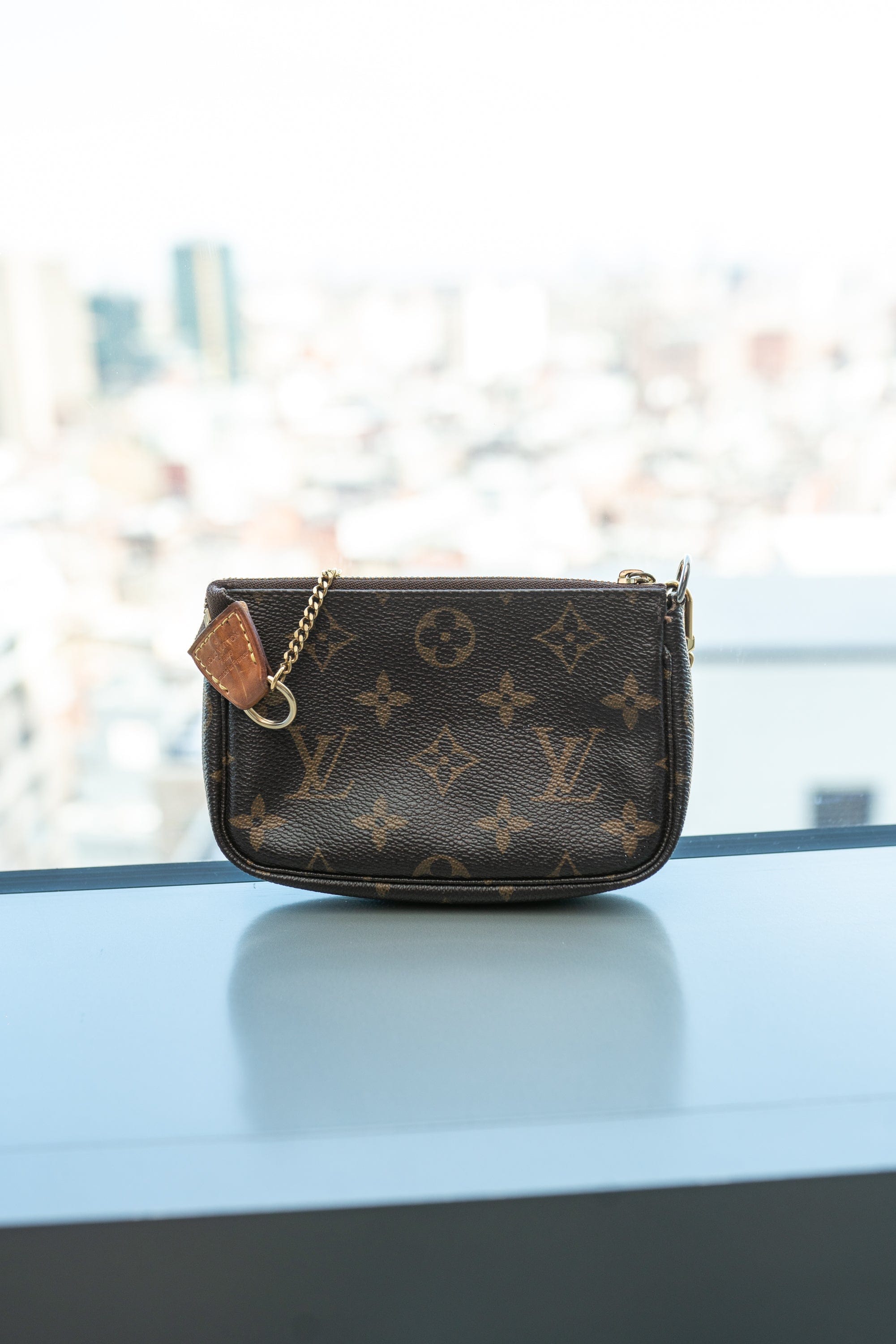 Louis Vuitton Louis Vuitton Mini Pochette Accessoires  ASL3106