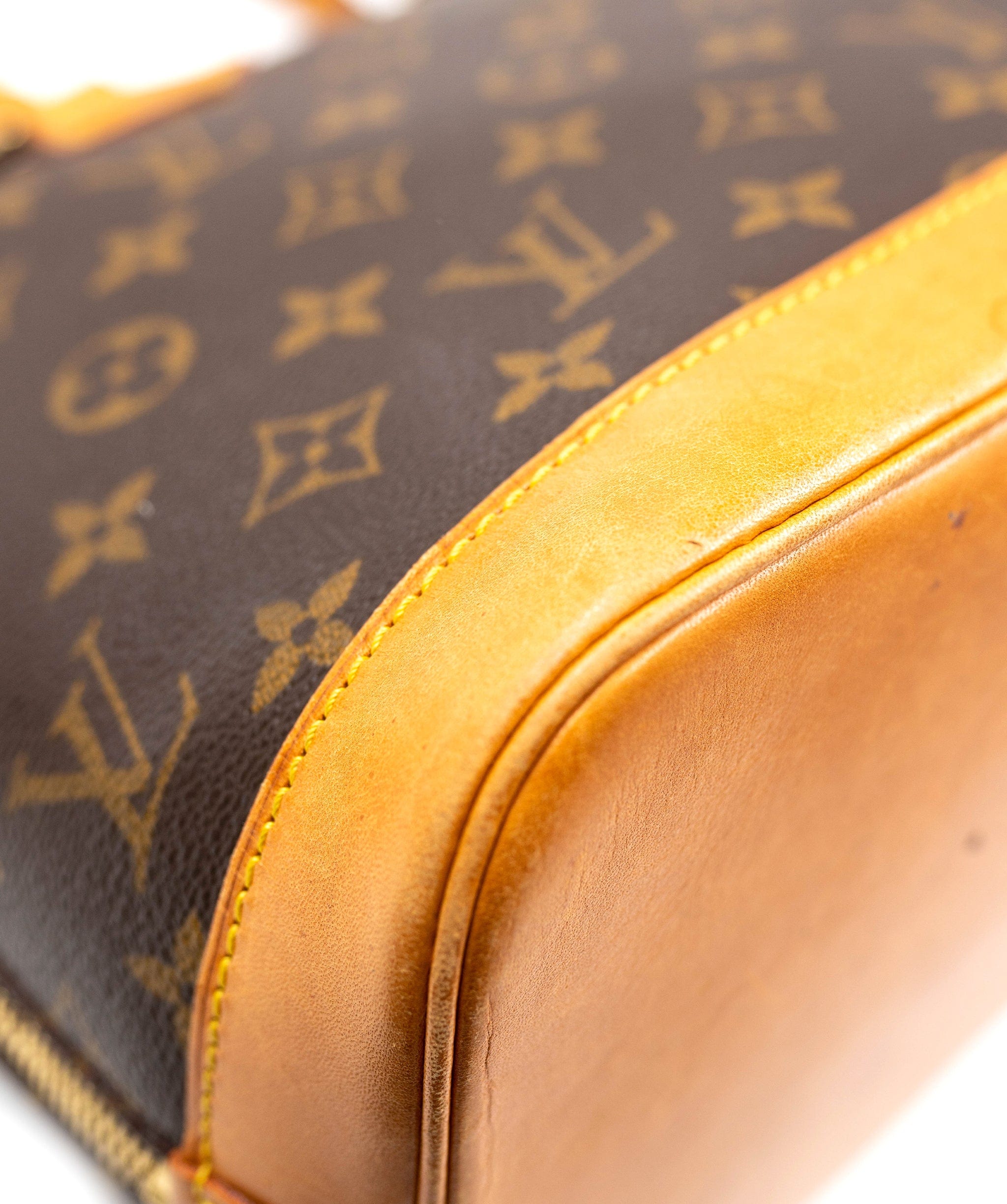 Louis Vuitton Louis Vuitton Monogram Canvas Alma PM Bag - AGL1802