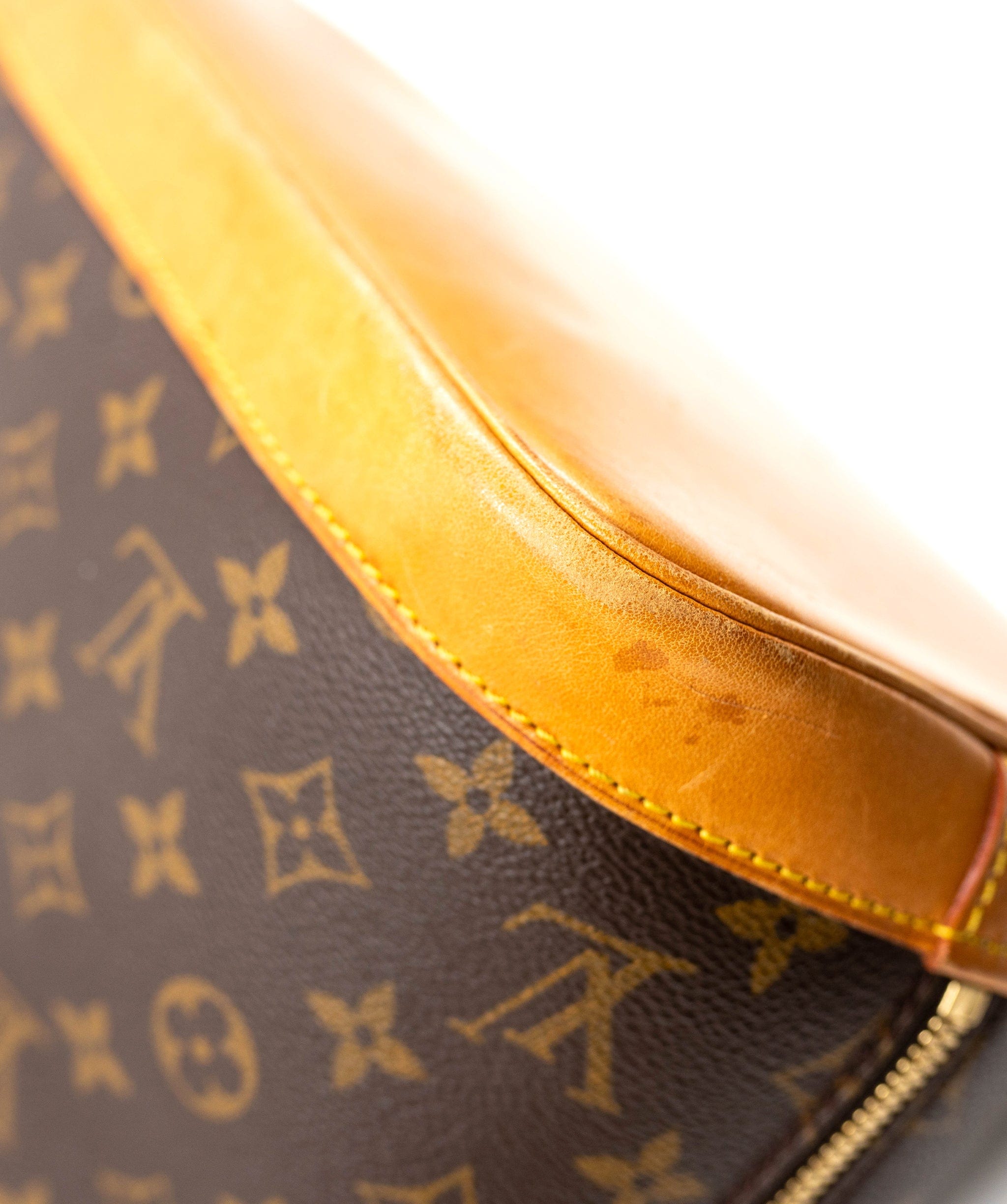 Louis Vuitton Louis Vuitton Monogram Canvas Alma PM Bag - AGL1802