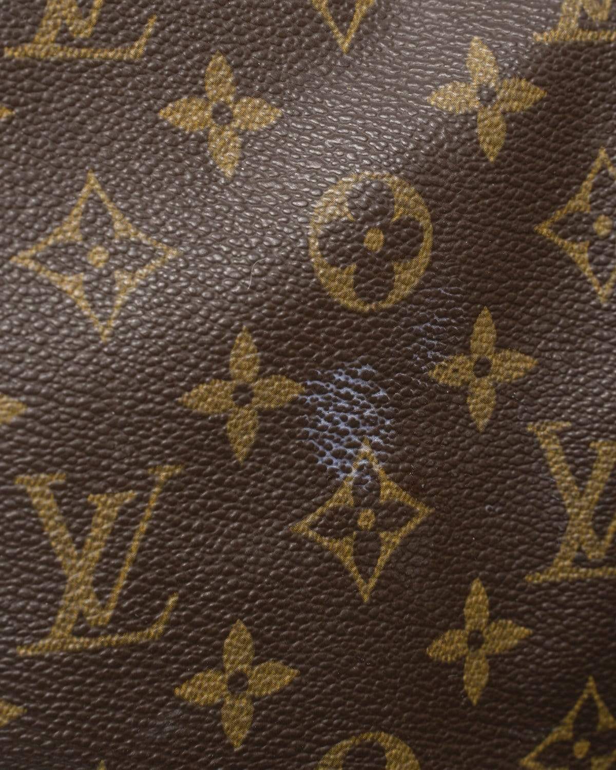 Louis Vuitton Louis Vuitton Monogram Canvas Travel Tote Bag - AGL1445