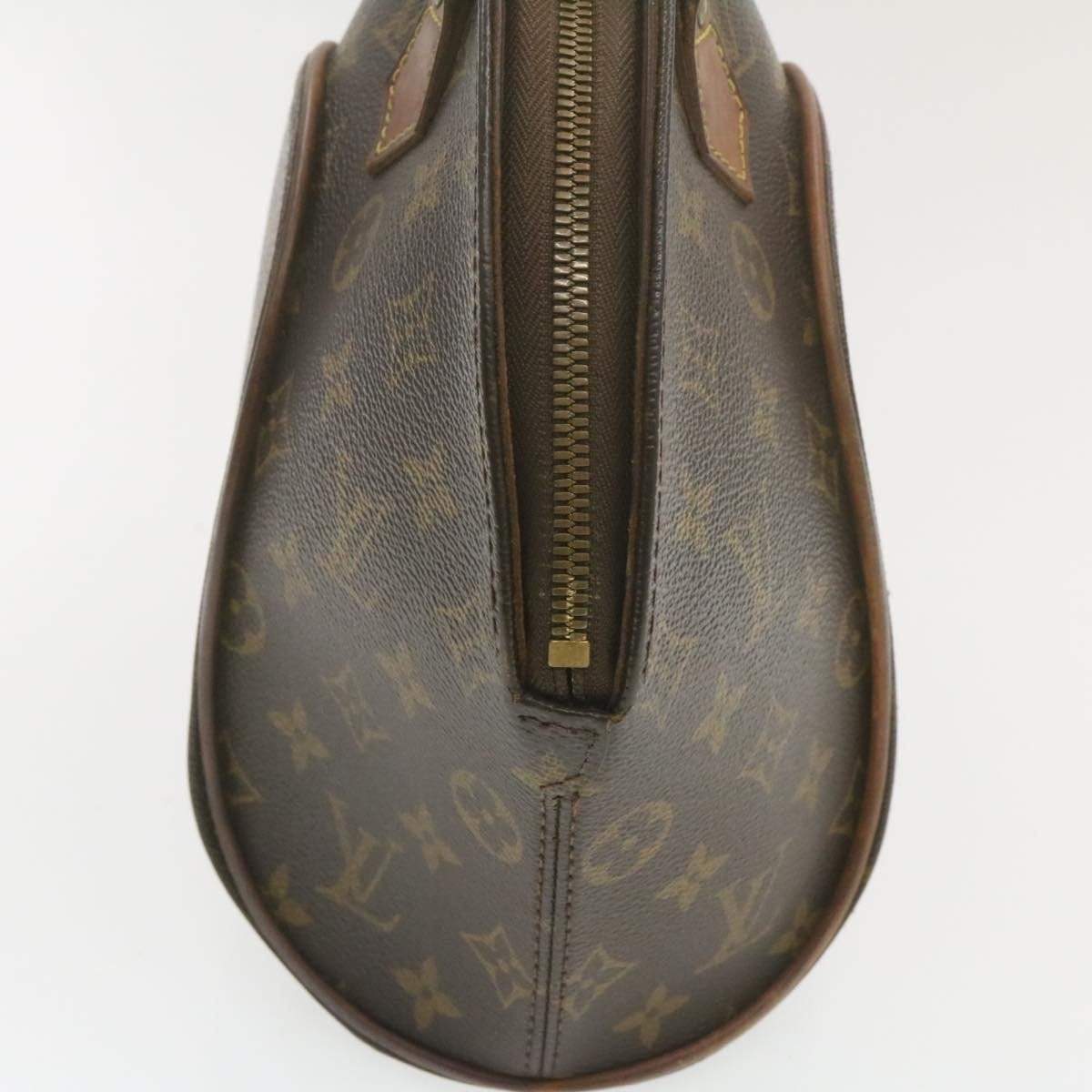 Louis Vuitton Louis Vuitton Monogram Ellipse PM MW1507