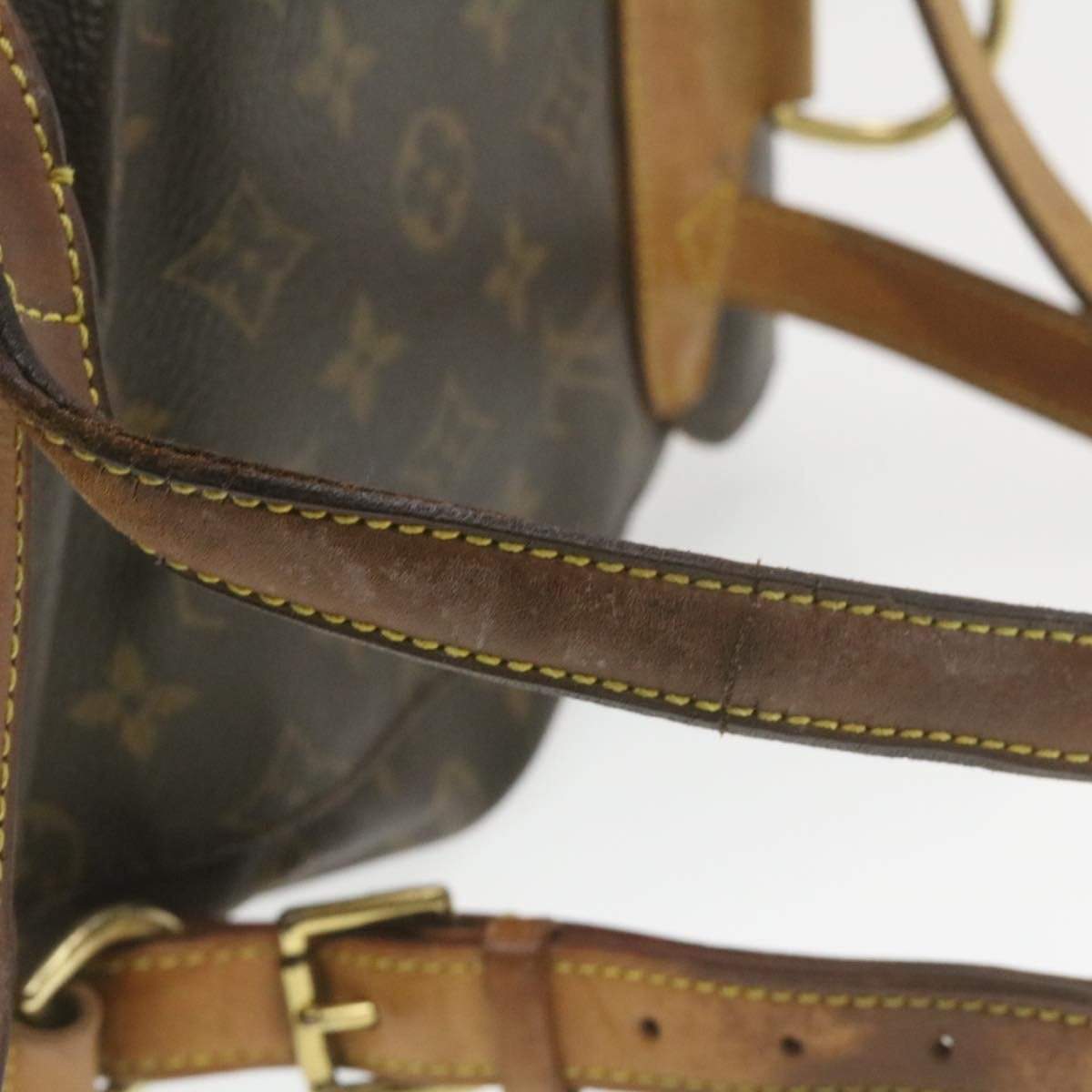 Louis Vuitton Louis Vuitton Monogram Montsouris MM Backpack