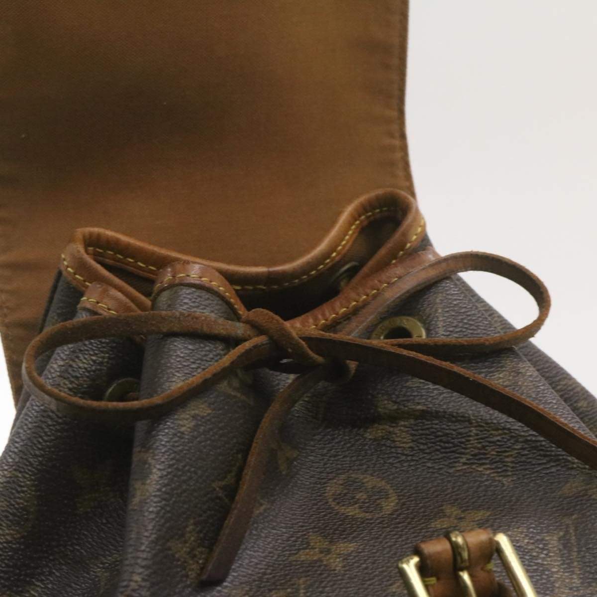 Louis Vuitton Louis Vuitton Monogram Montsouris MM Backpack