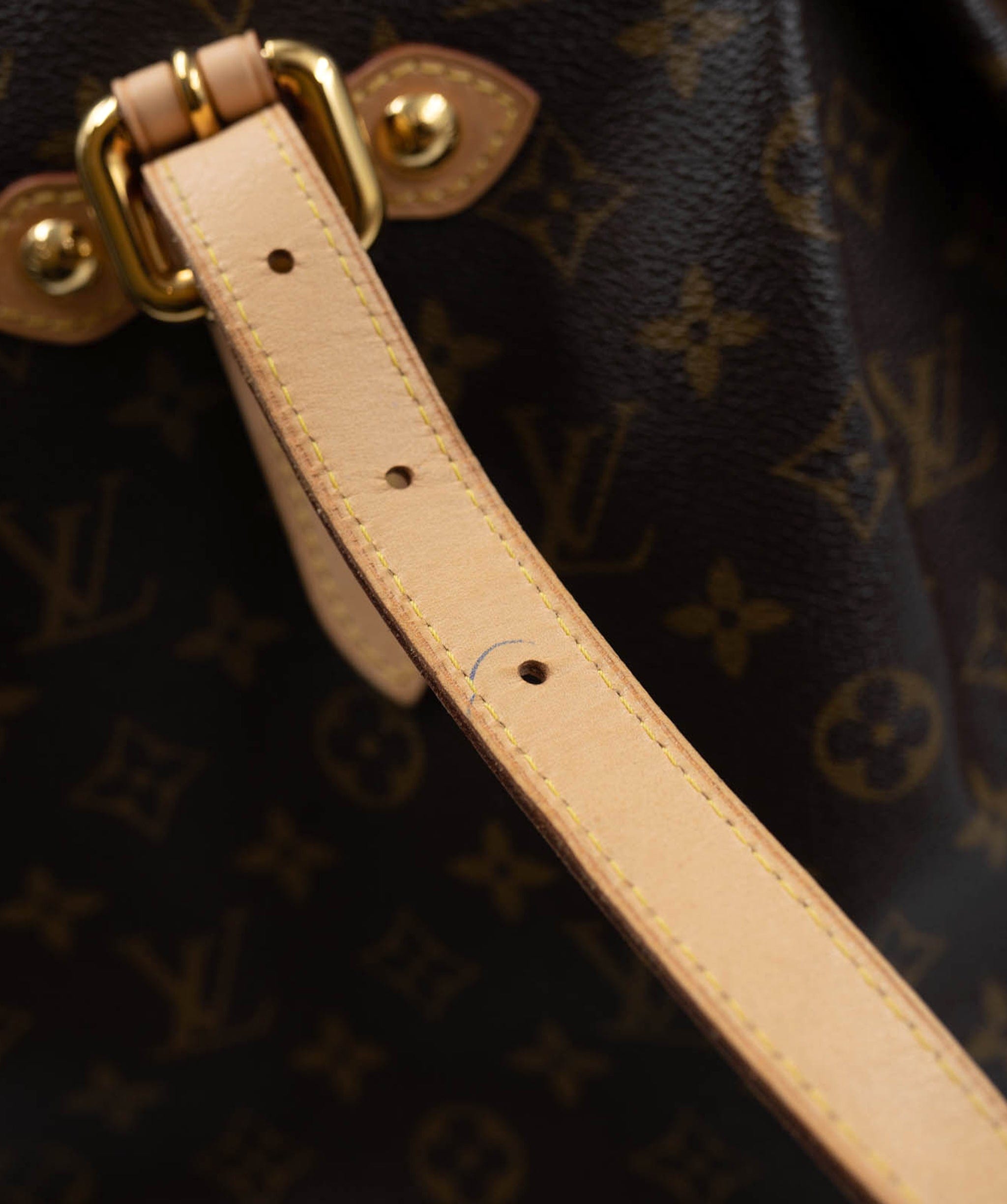 Louis Vuitton Louis Vuitton monogram Palermo two-way bag ALL0094