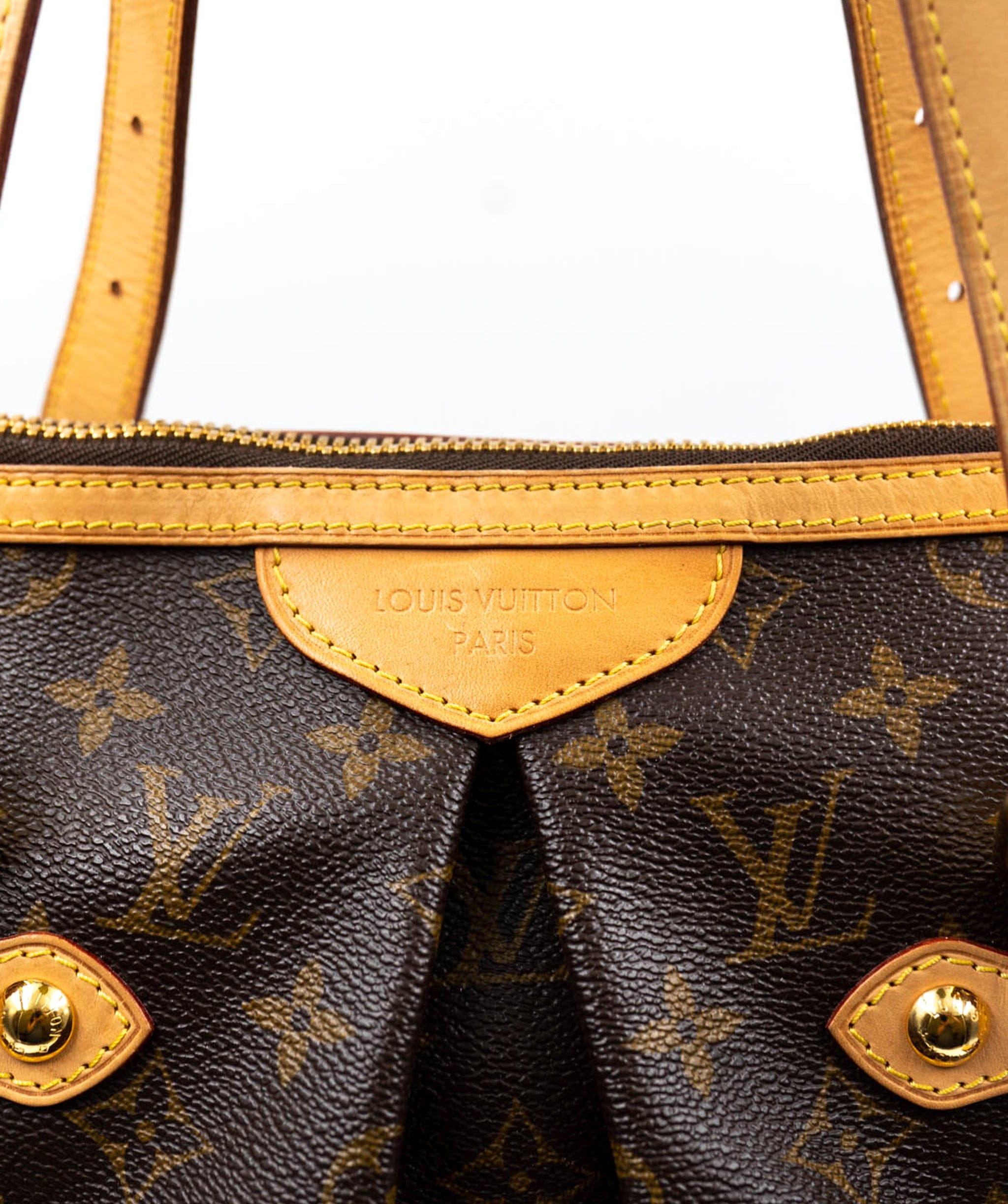 Louis Vuitton Louis Vuitton monogram Palermo two-way bag ALL0094