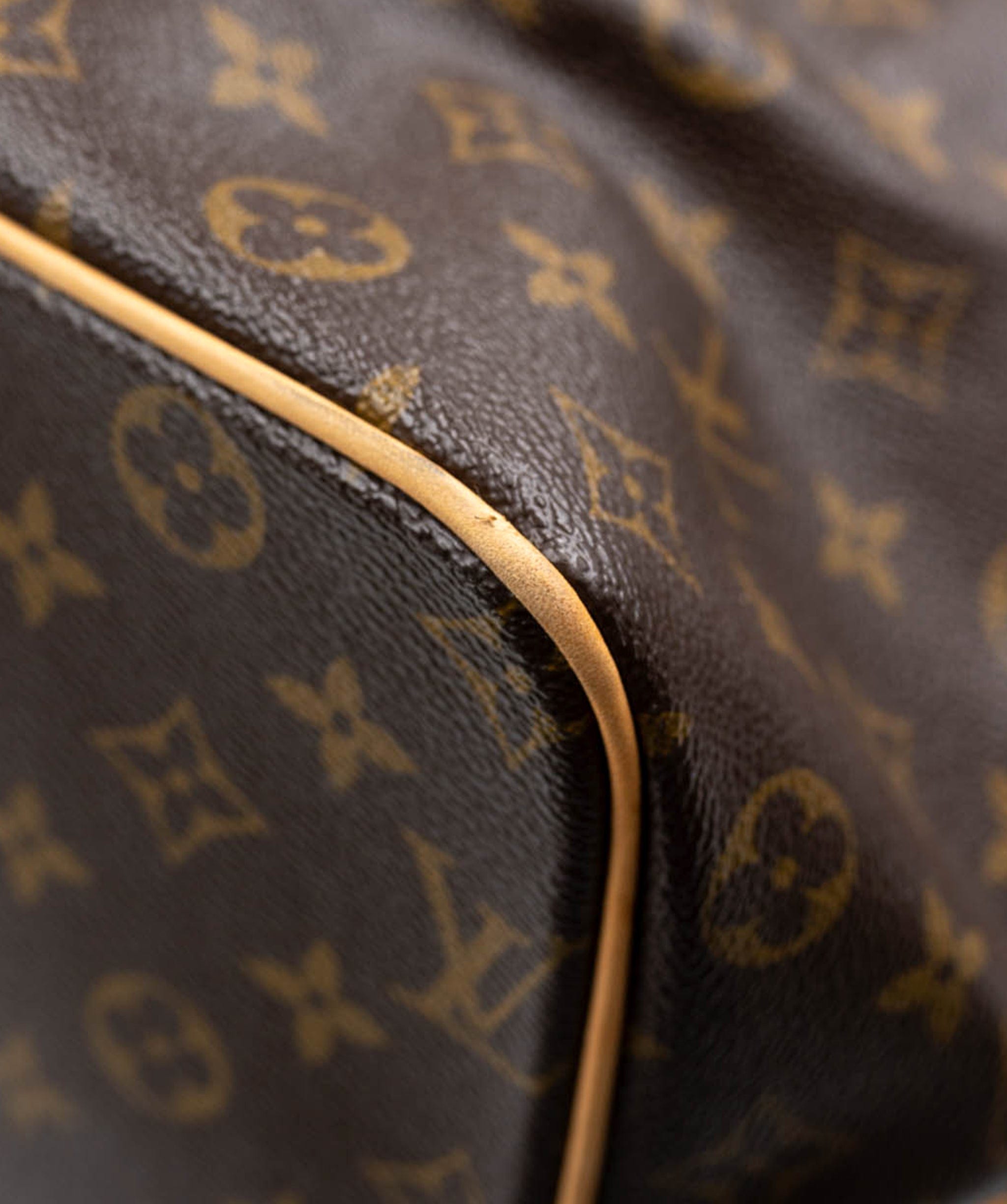 Louis Vuitton Louis Vuitton monogram Palermo two-way bag ALL0094