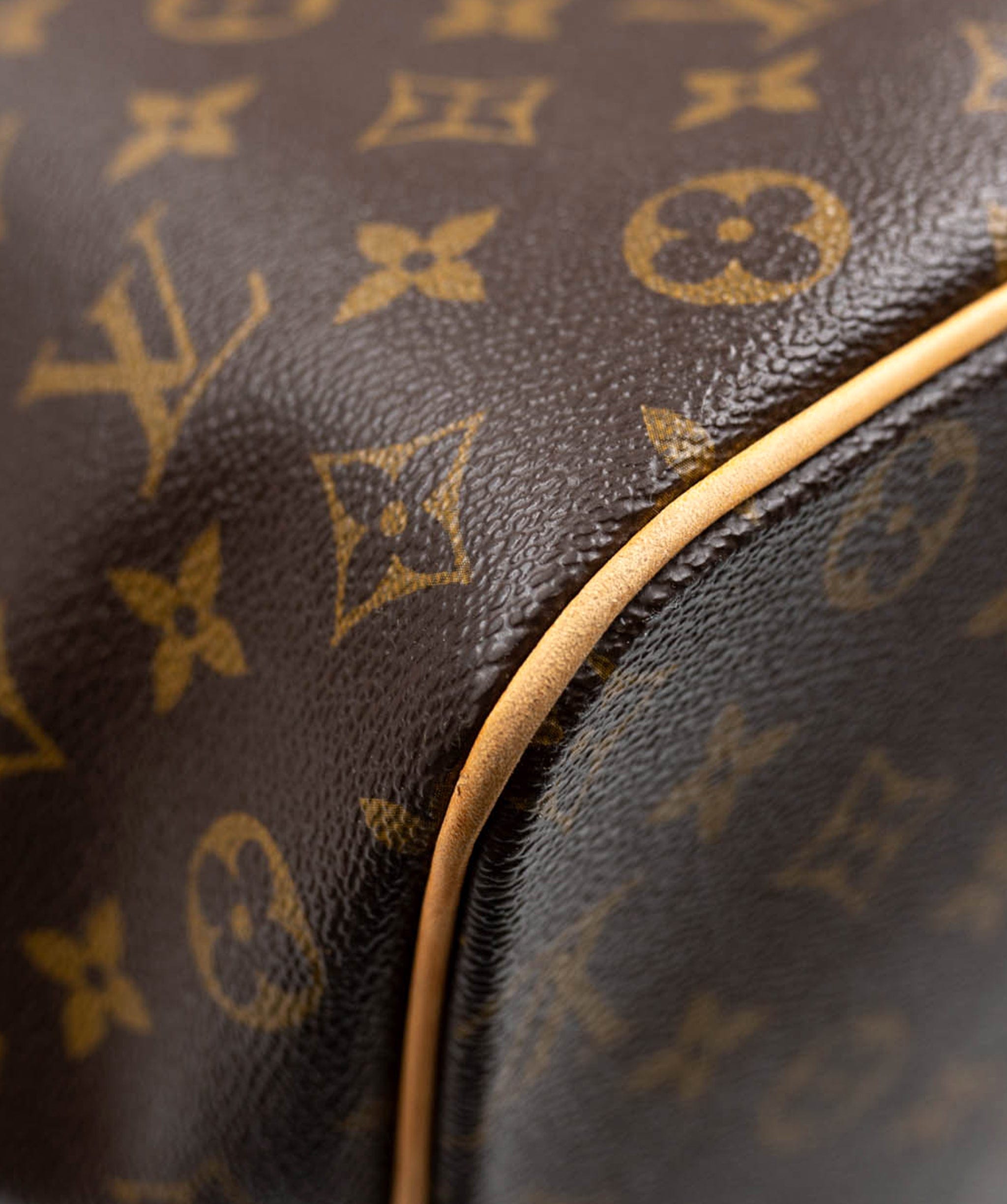 Louis Vuitton Louis Vuitton monogram Palermo two-way bag ALL0094