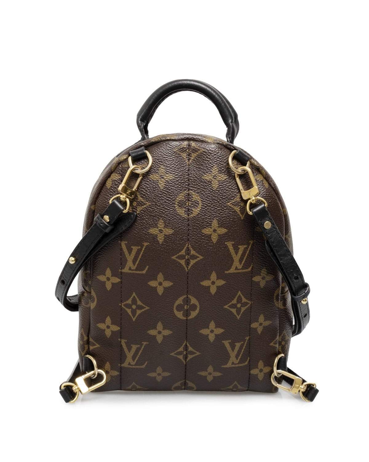 Louis Vuitton Louis Vuitton Monogram Palm Springs Backpack  - AGL1466