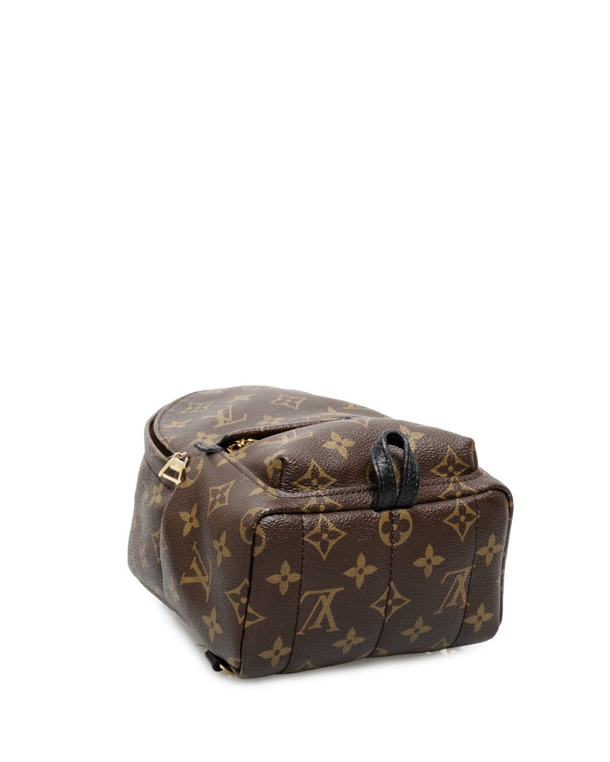 Louis Vuitton Louis Vuitton Monogram Palm Springs Backpack  - AGL1466