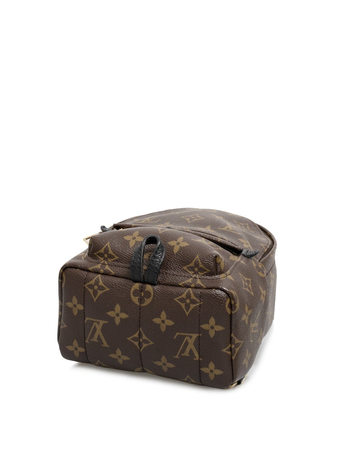 Louis Vuitton Louis Vuitton Monogram Palm Springs Backpack  - AGL1466