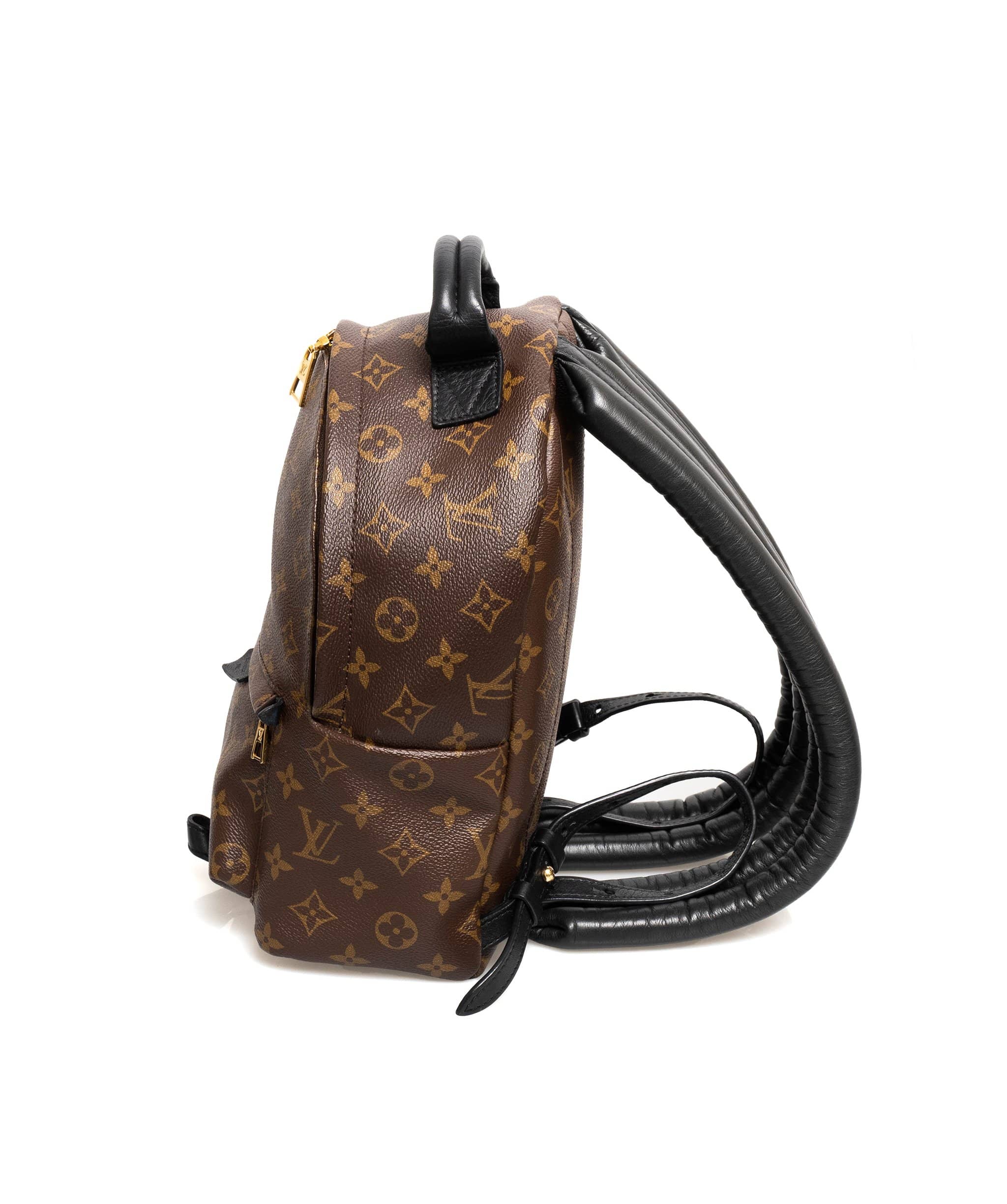 Louis Vuitton LOUIS VUITTON Monogram Palm Springs PM Backpack - AWL1683