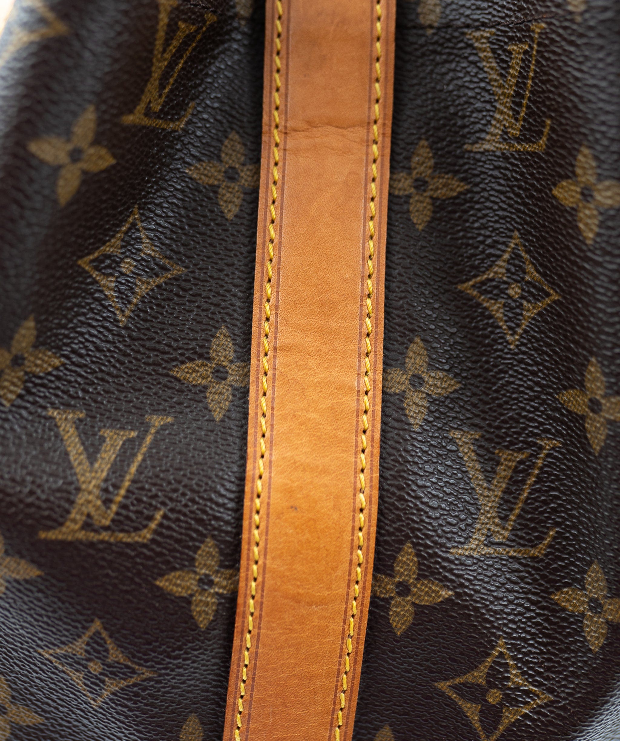 Louis Vuitton Louis Vuitton Monogram Randonnee GM  - AGL2095