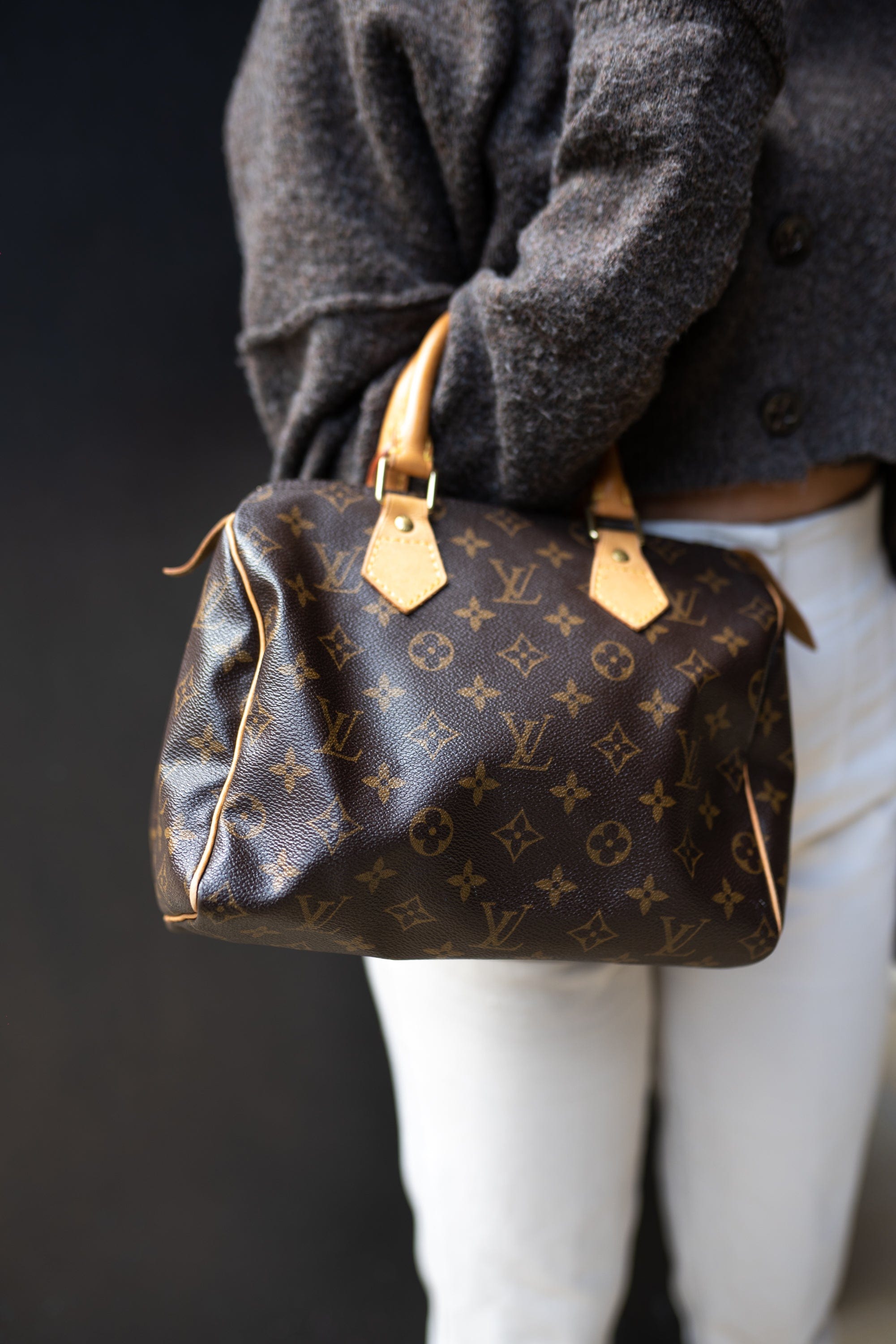 Louis Vuitton Louis Vuitton Monogram Speedy 25 - AGL1751