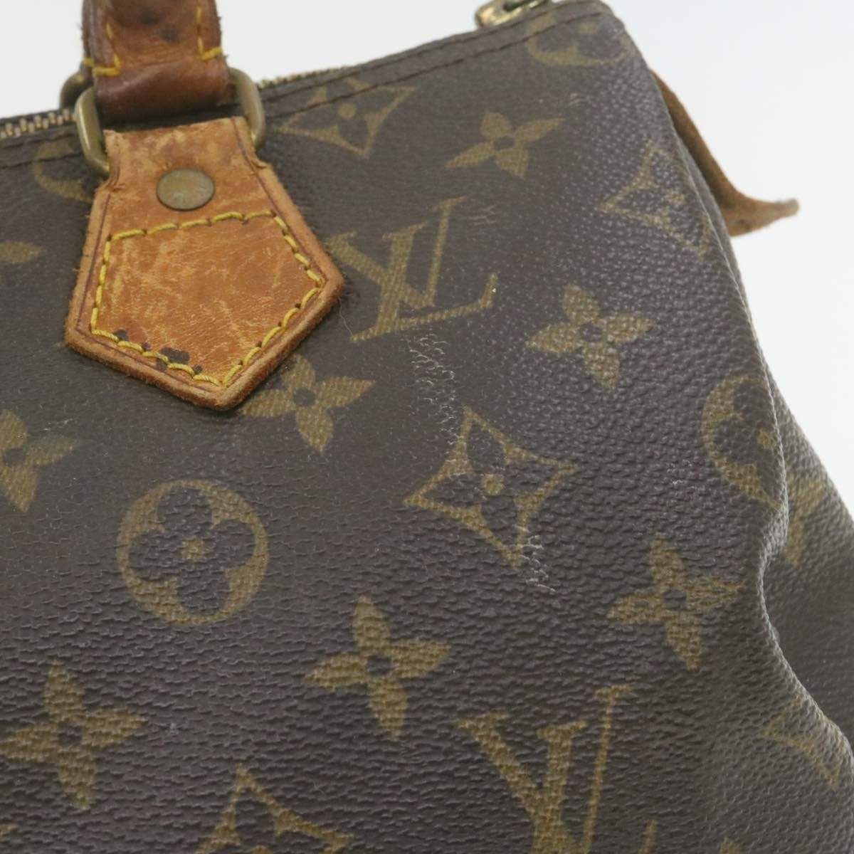 Louis Vuitton Louis Vuitton Monogram Speedy 25 Bag MW2293