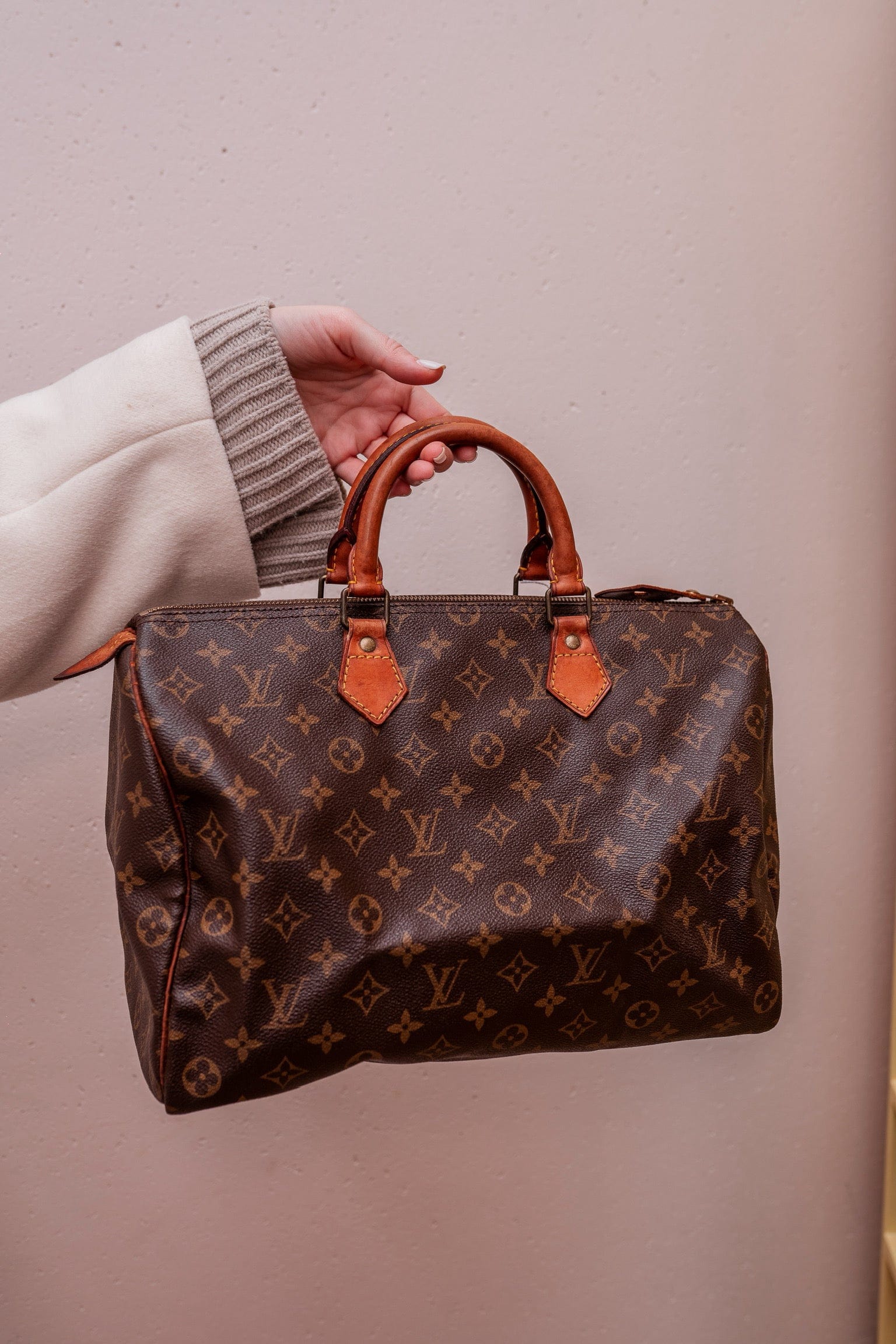 Louis Vuitton Louis Vuitton Monogram Speedy 30 - ASL2267