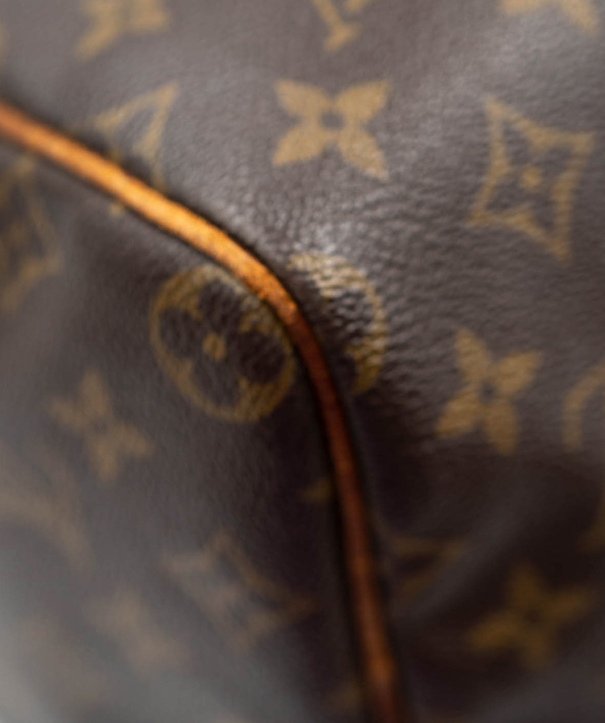 Louis Vuitton Louis Vuitton Monogram Speedy 30 ASL2718