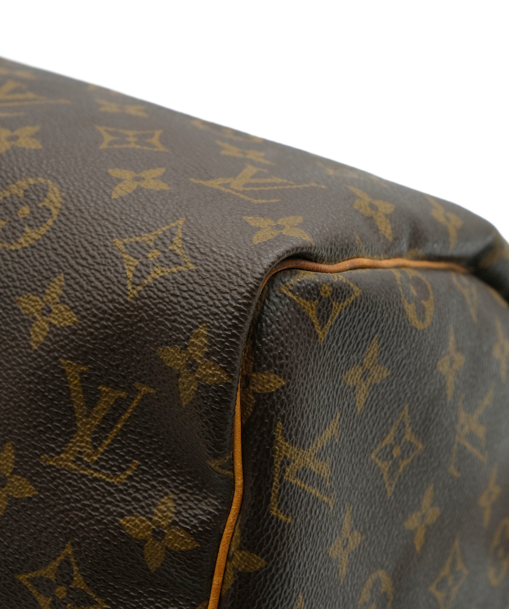 Louis Vuitton Louis Vuitton Monogram Speedy 30 REC1160