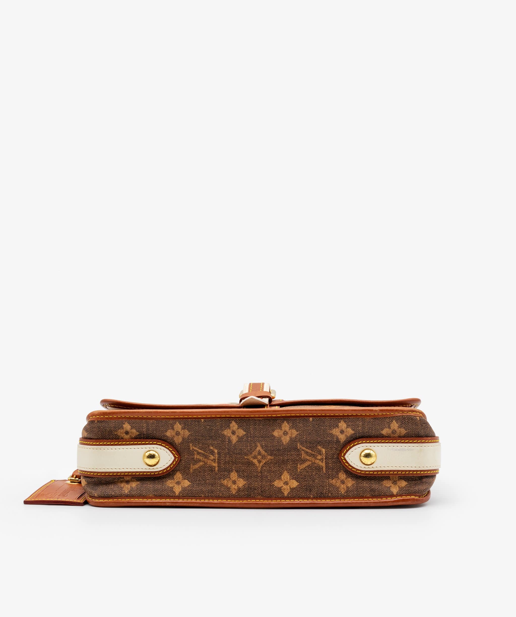 Louis Vuitton Louis Vuitton Monogram Tisse Porte Rayures Shoulder Bag