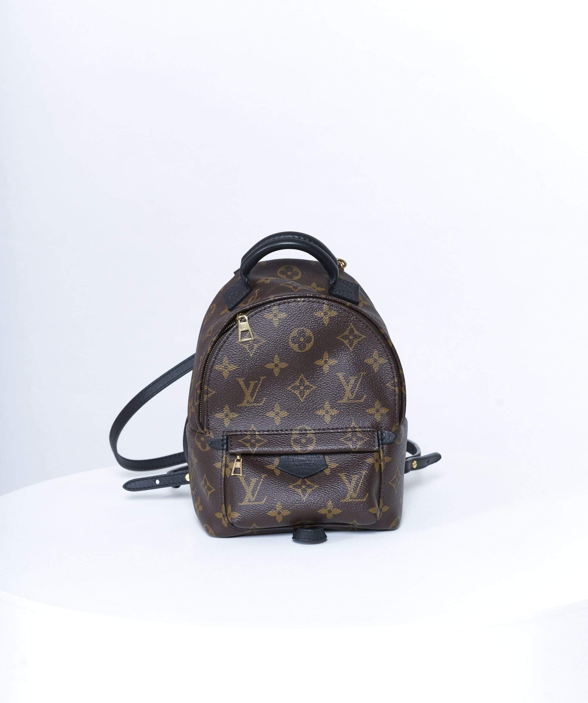 Louis Vuitton Louis Vuitton Palm spring back pack - AWL2373