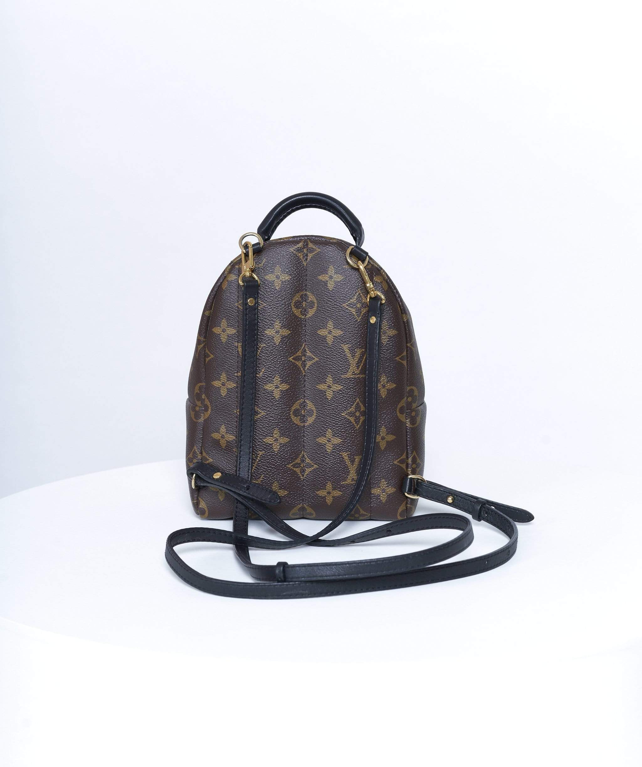 Louis Vuitton Louis Vuitton Palm spring back pack - AWL2373