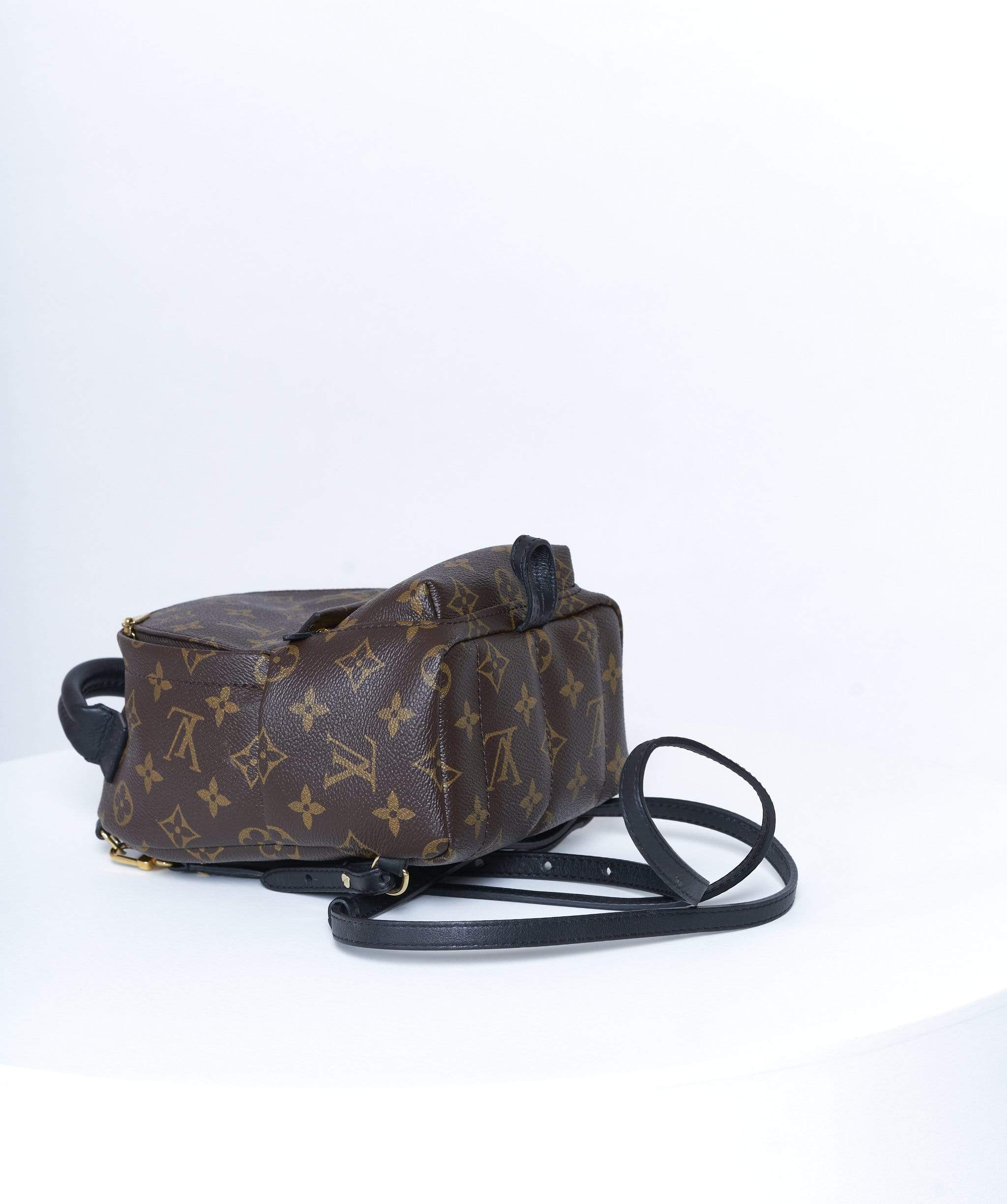 Louis Vuitton Louis Vuitton Palm spring back pack - AWL2373