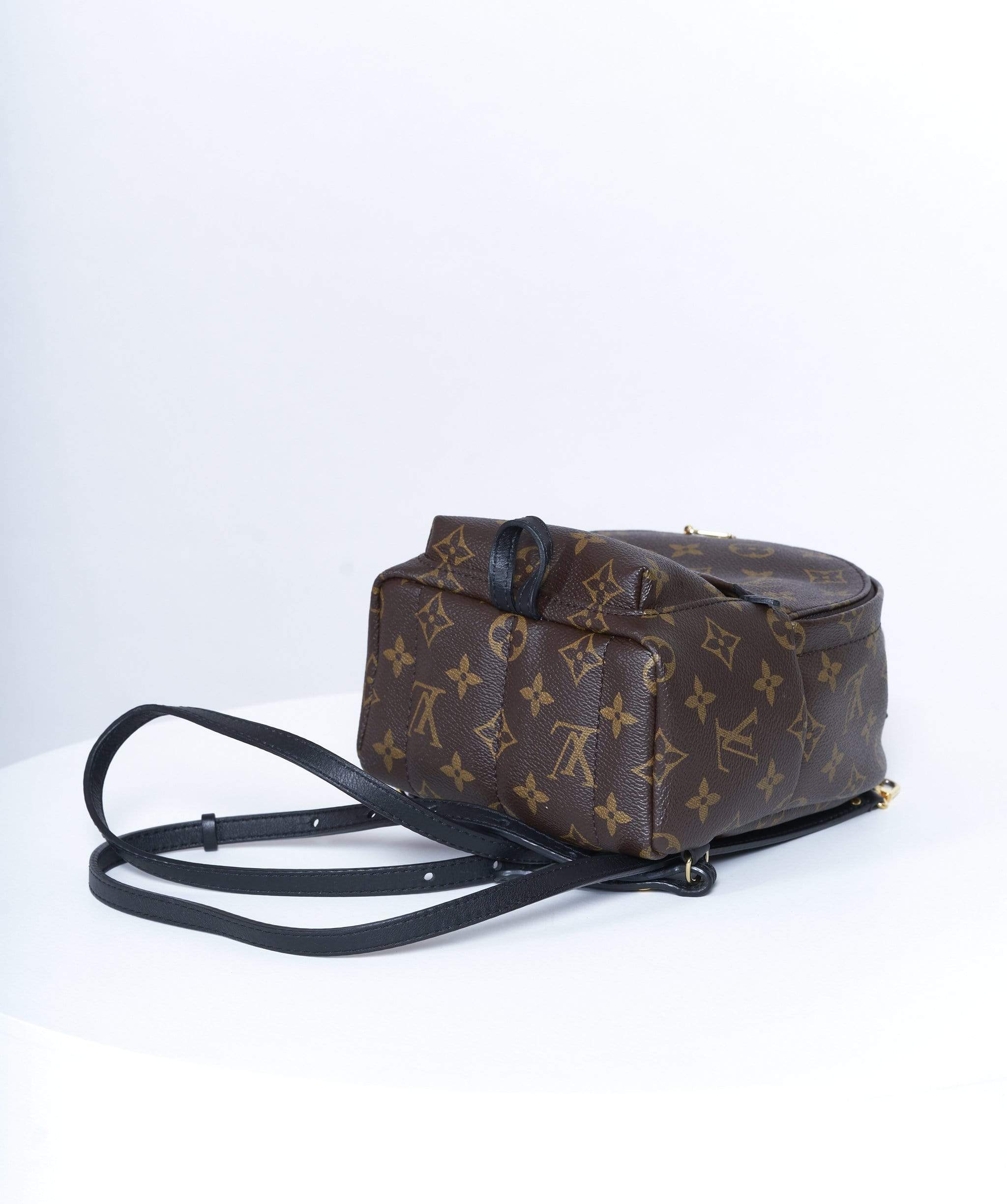 Louis Vuitton Louis Vuitton Palm spring back pack - AWL2373