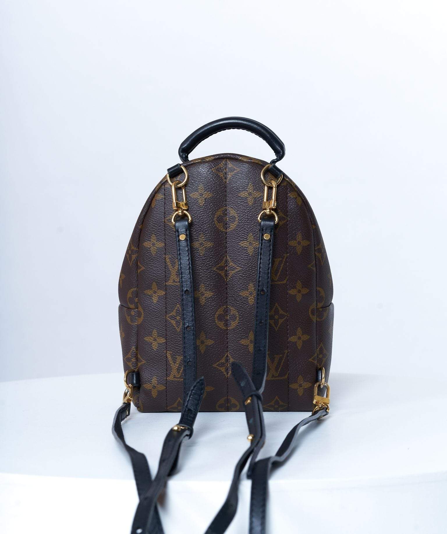 Louis Vuitton Louis Vuitton Palm Springs Backpack