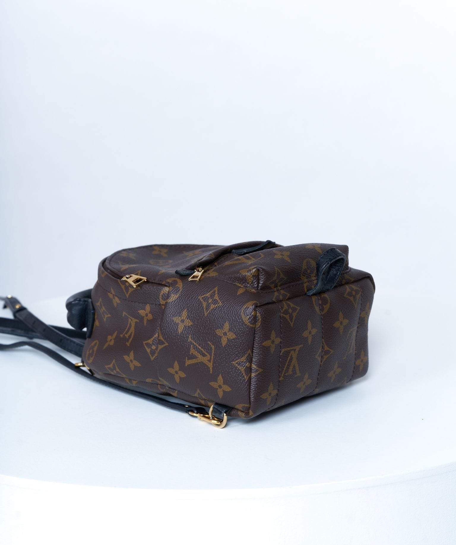 Louis Vuitton Louis Vuitton Palm Springs Backpack